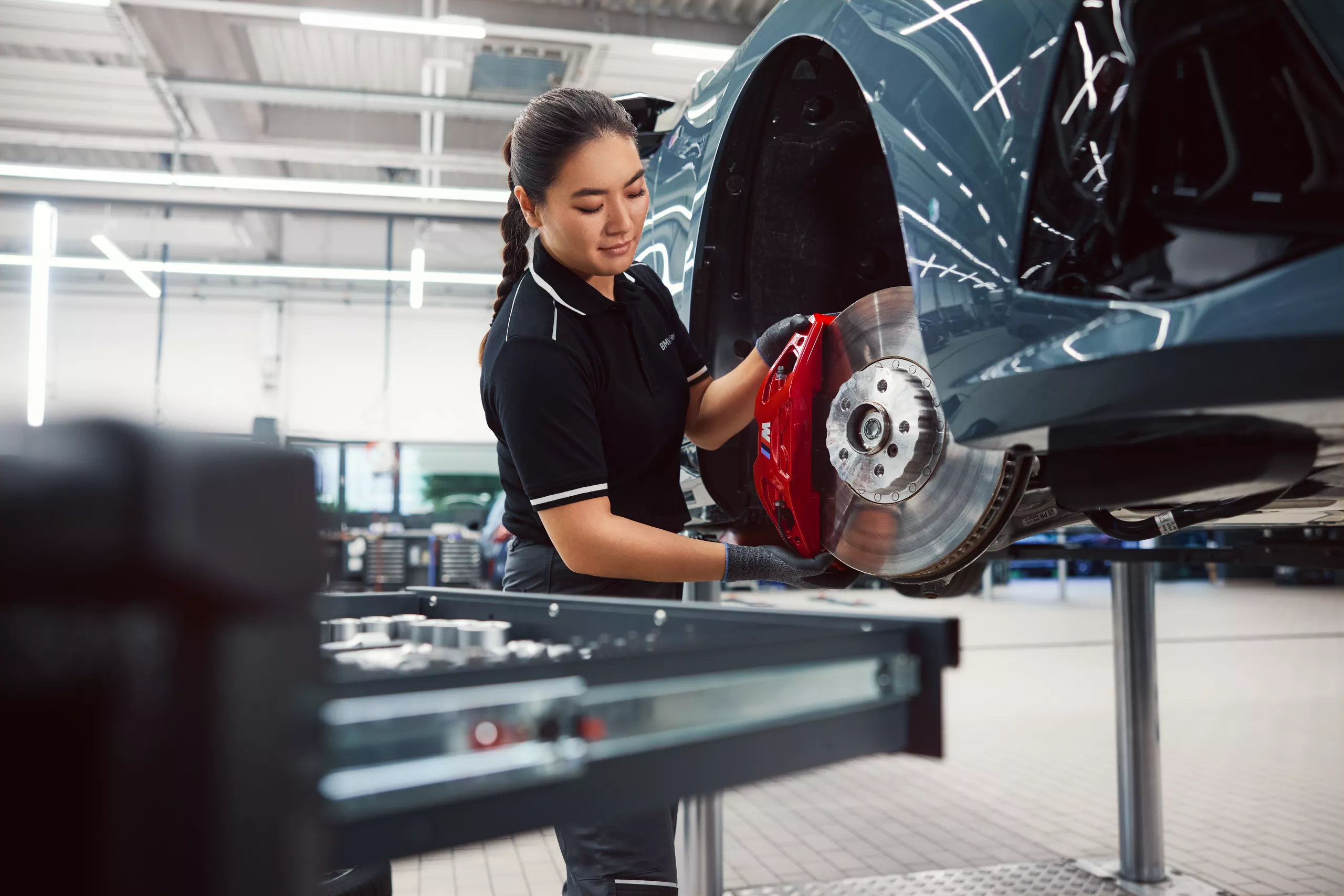 Brake Disc & Brake Pad Replacement Package