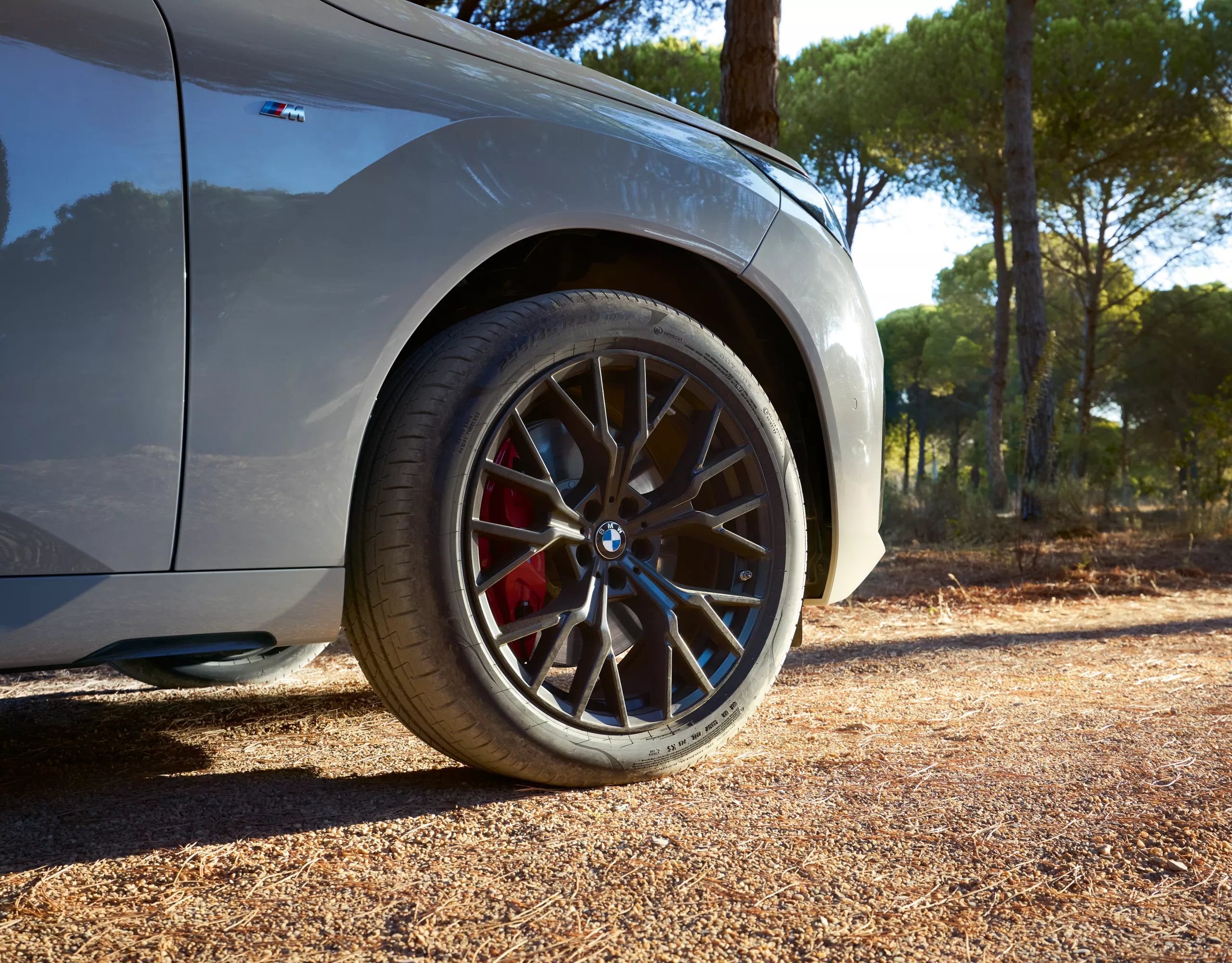 Primer plano de la rueda de un BMW con llanta deportiva y pinza de freno roja, en un entorno natural con árboles