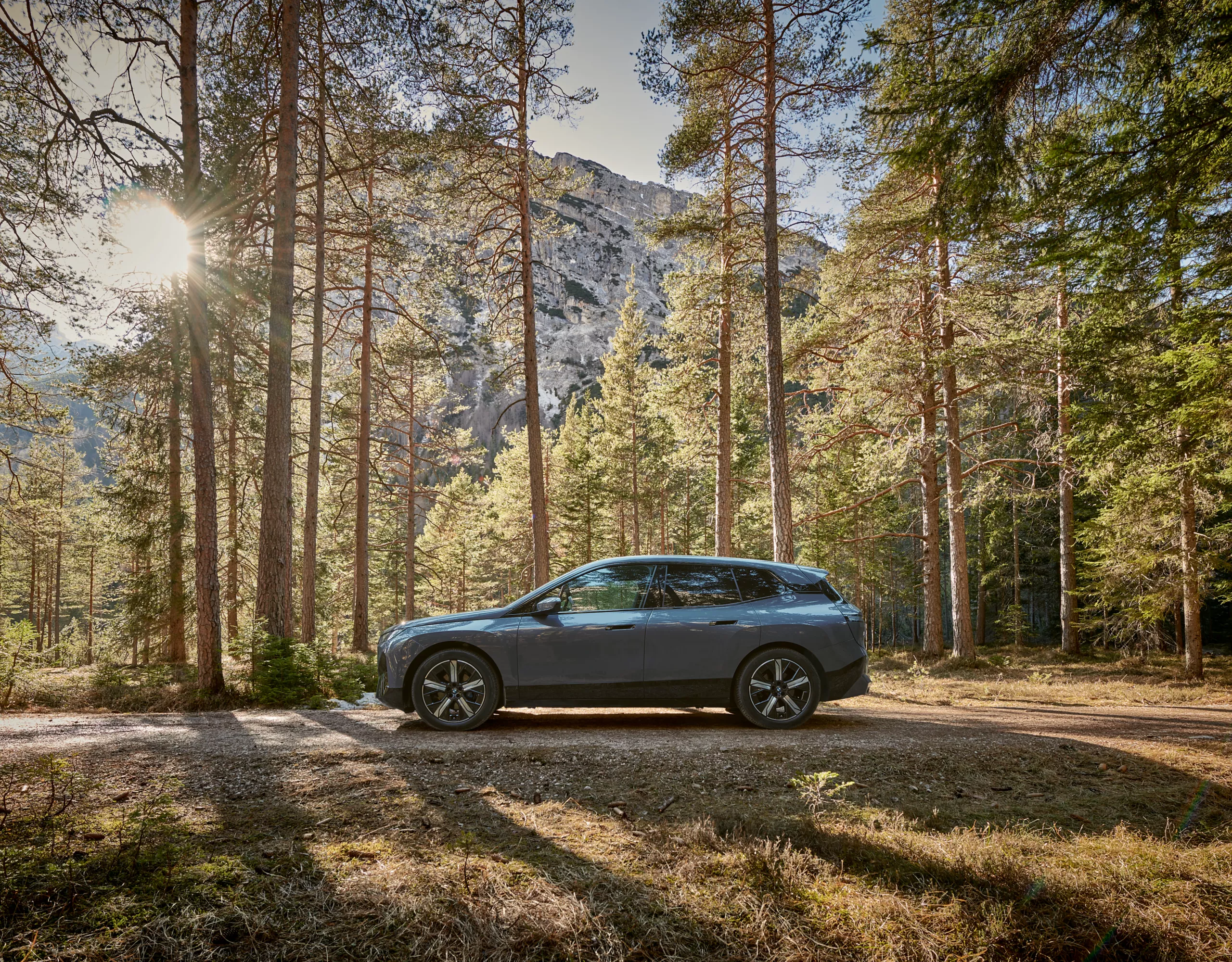 BMW iX xDrive40 estacionado no meio da natureza.