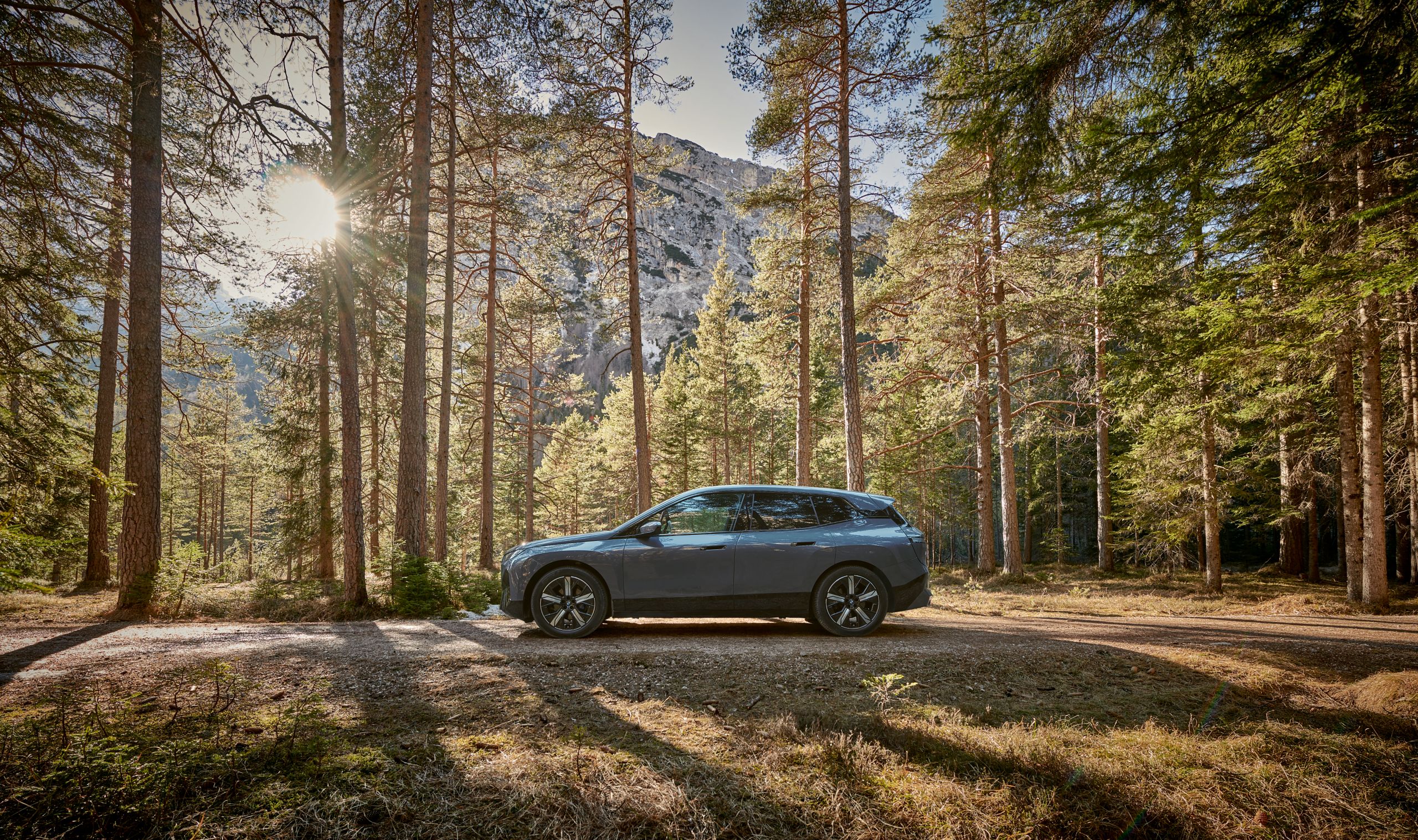 BMW iX xDrive40 estacionado no meio da natureza