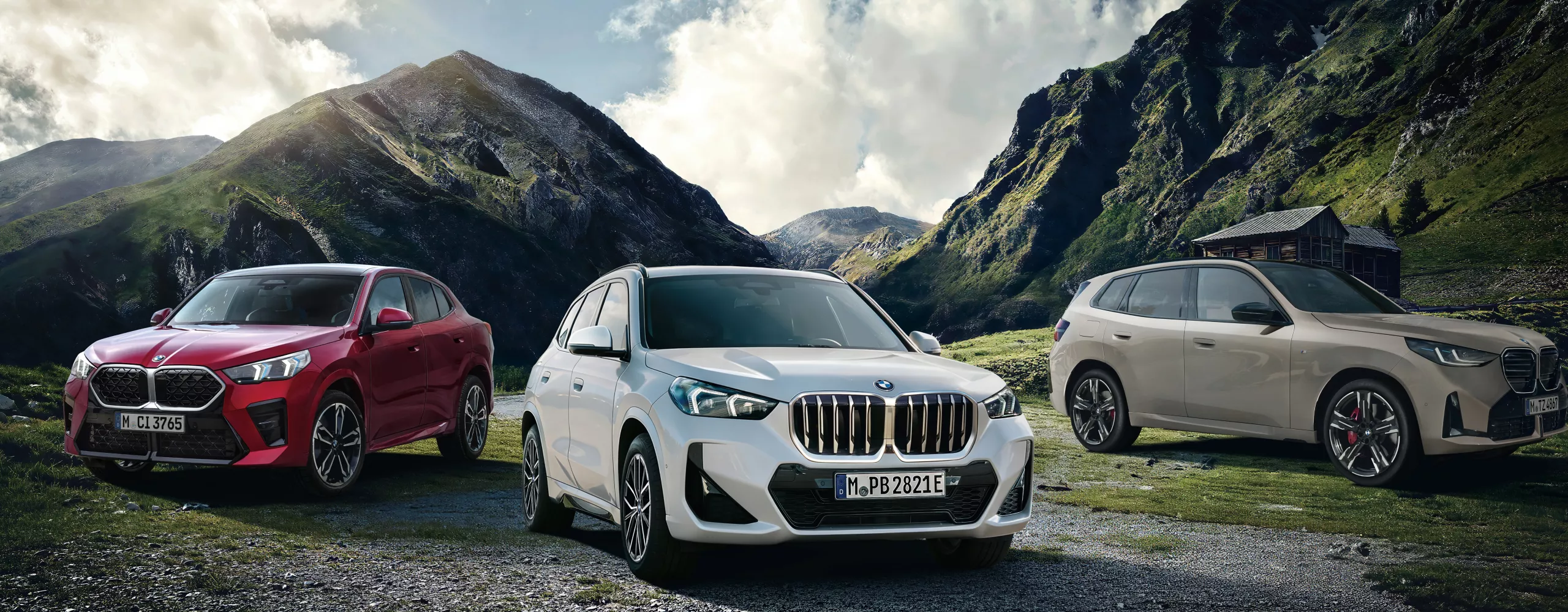 BMW DRIVEN BY JOY FAIR