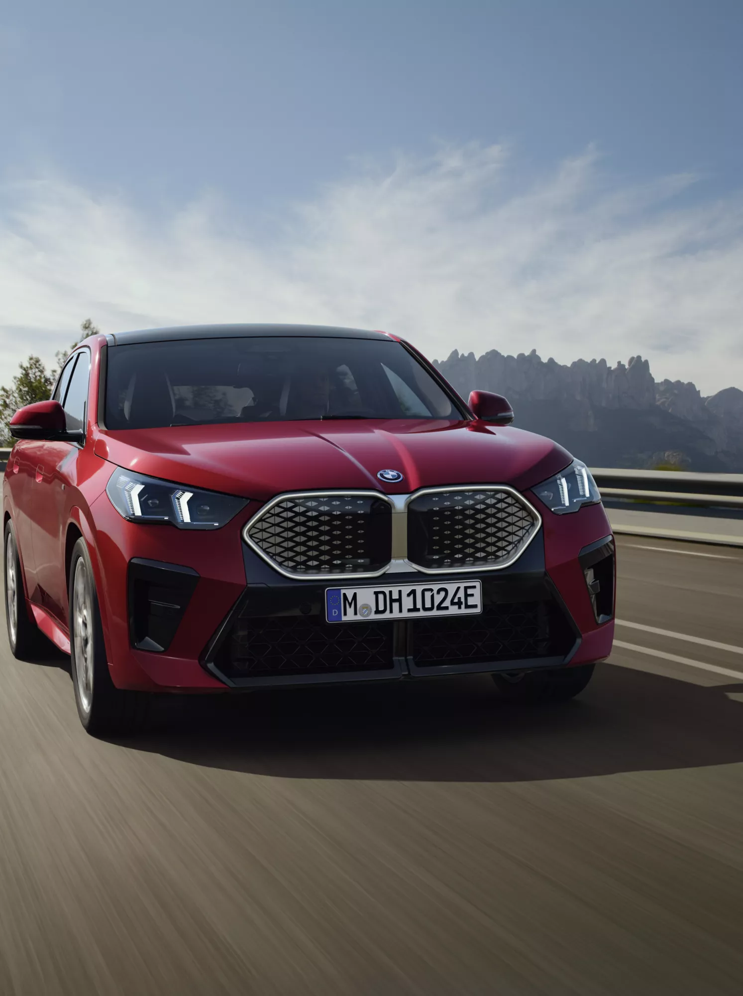 Electric Car Grant.
