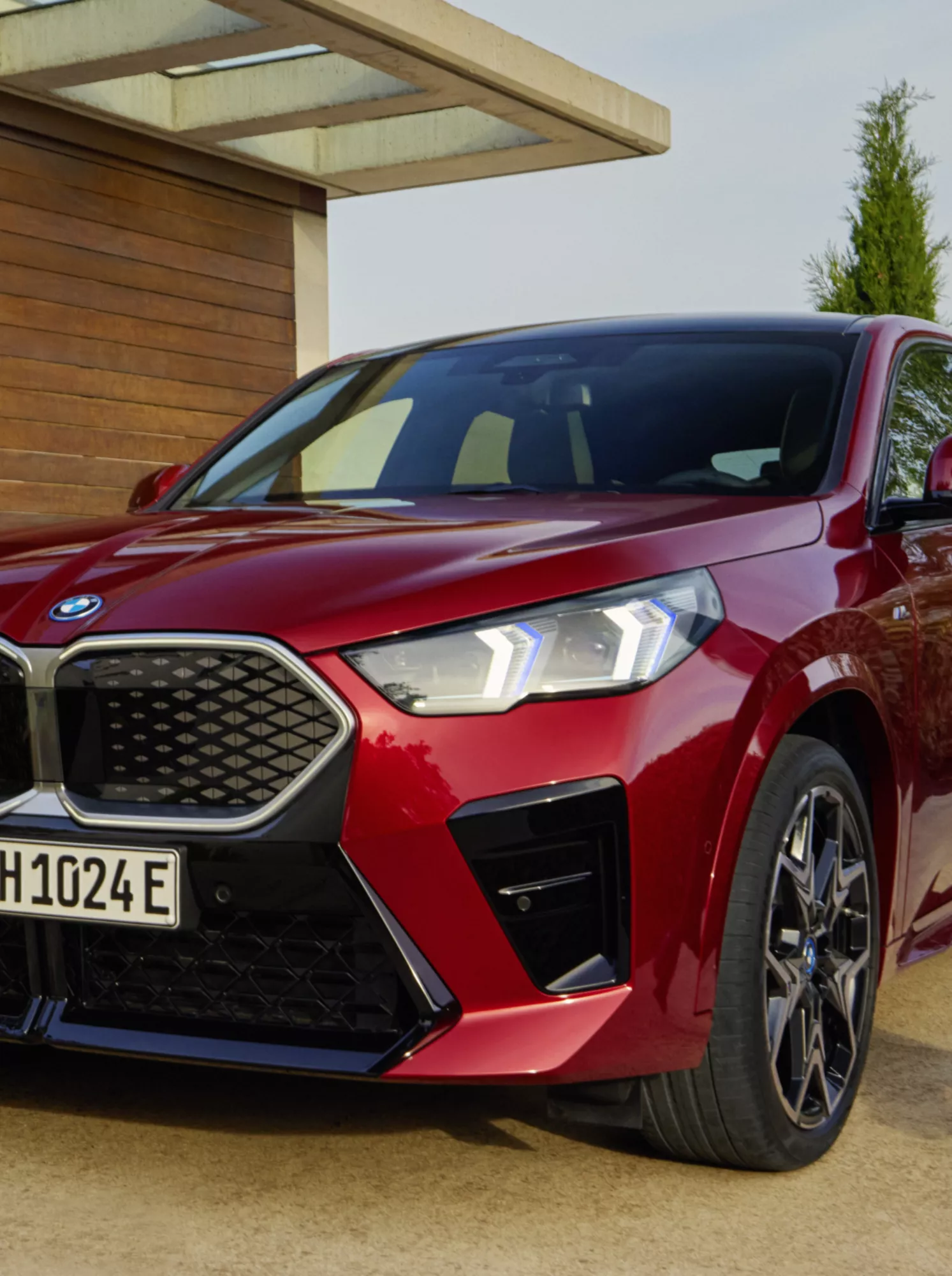 BMW Proactive Care 2024 How-to