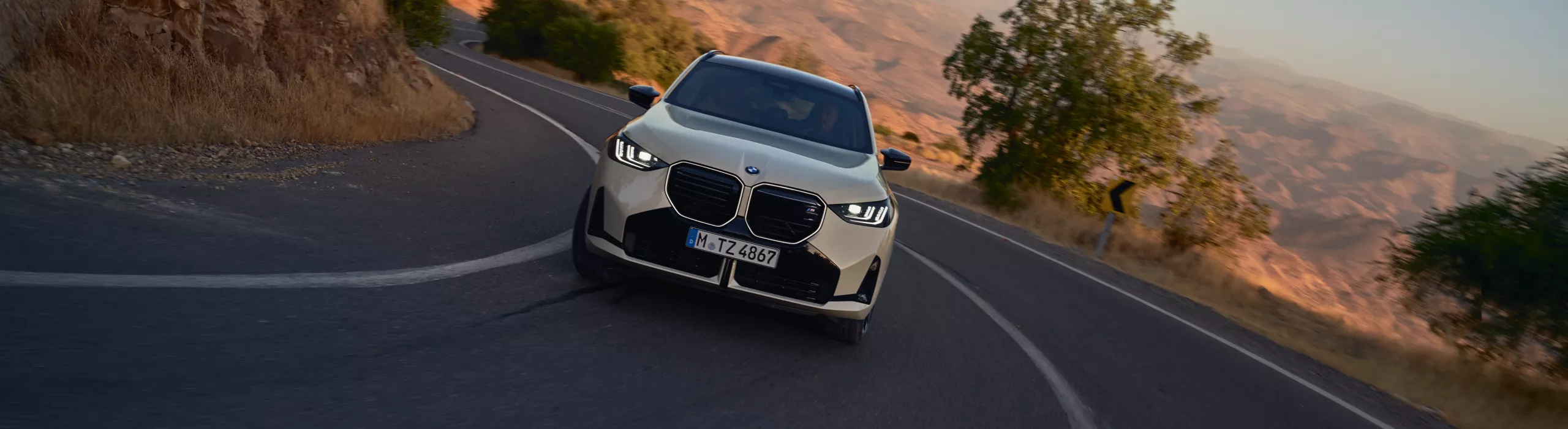 BMW X