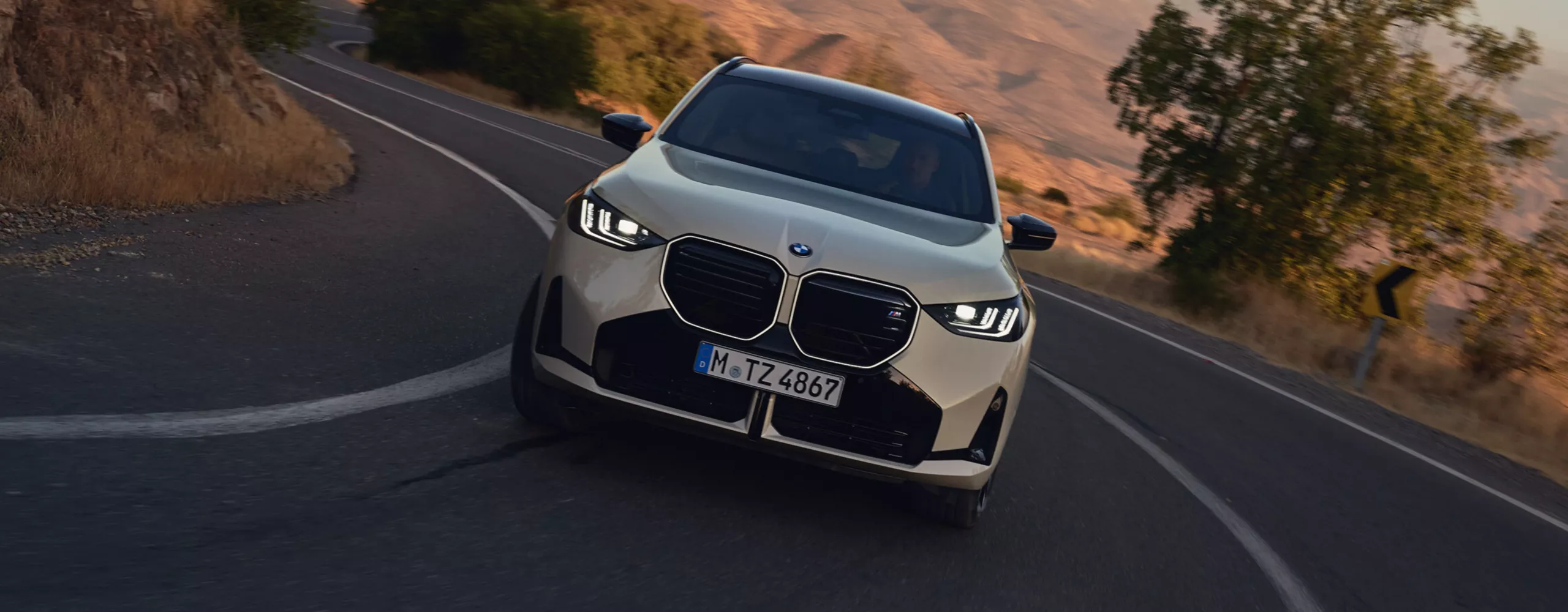 BMW X s