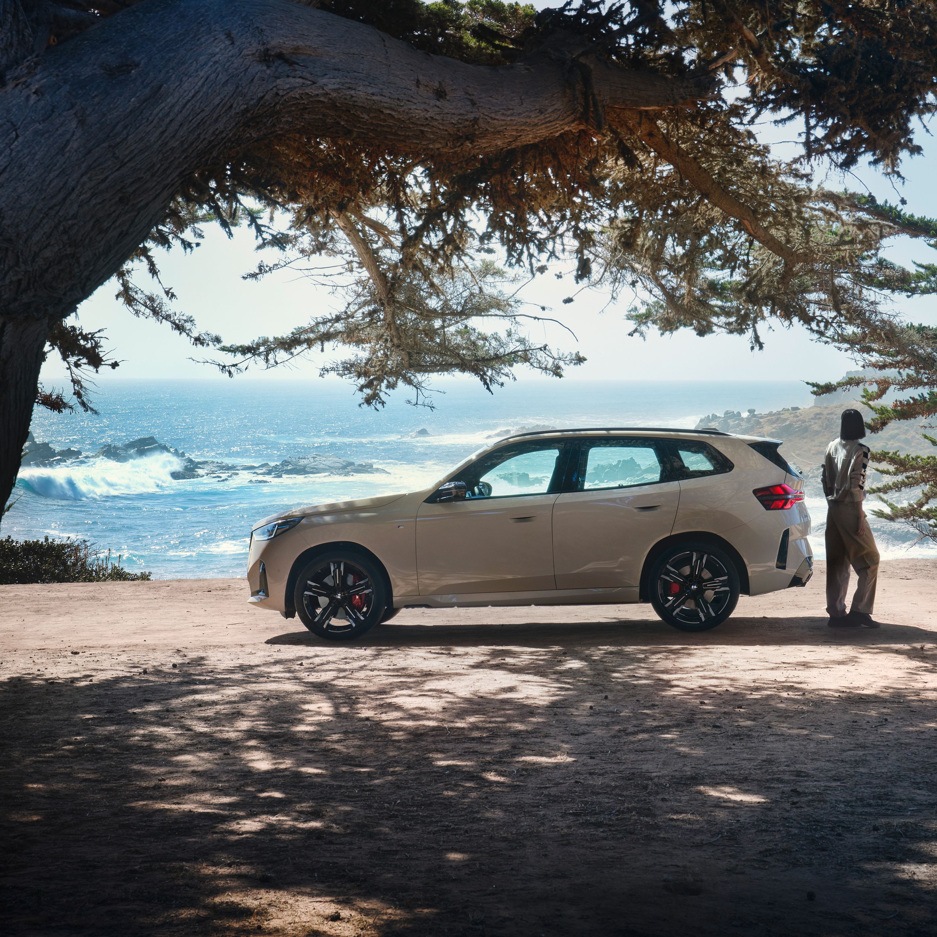 Discover The Power Of The BMW X Range With a 2.99%* P.A. Rate.