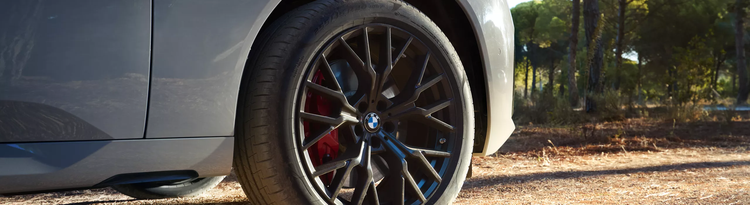 Buscador de Neumáticos BMW