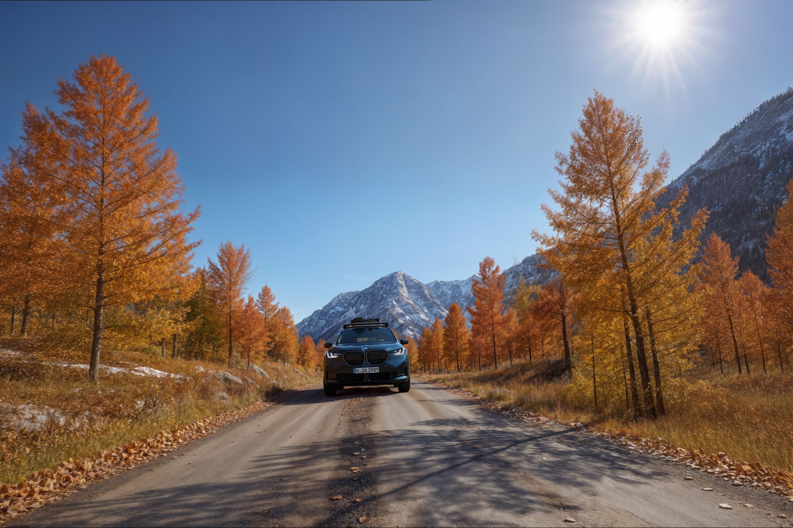 BMW Seasonal Inspection