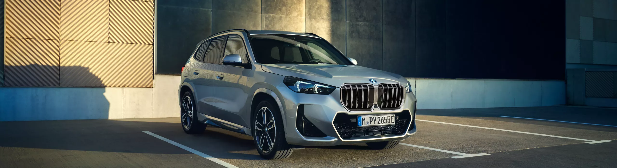 plug-in-hybrid