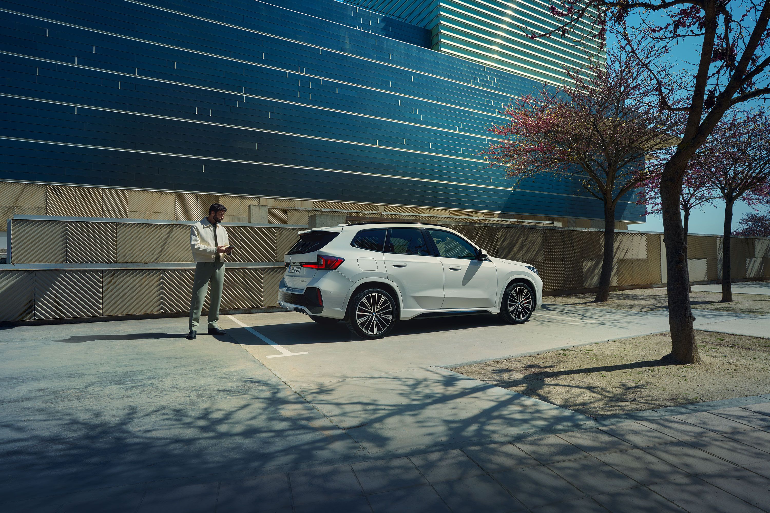 Man and car