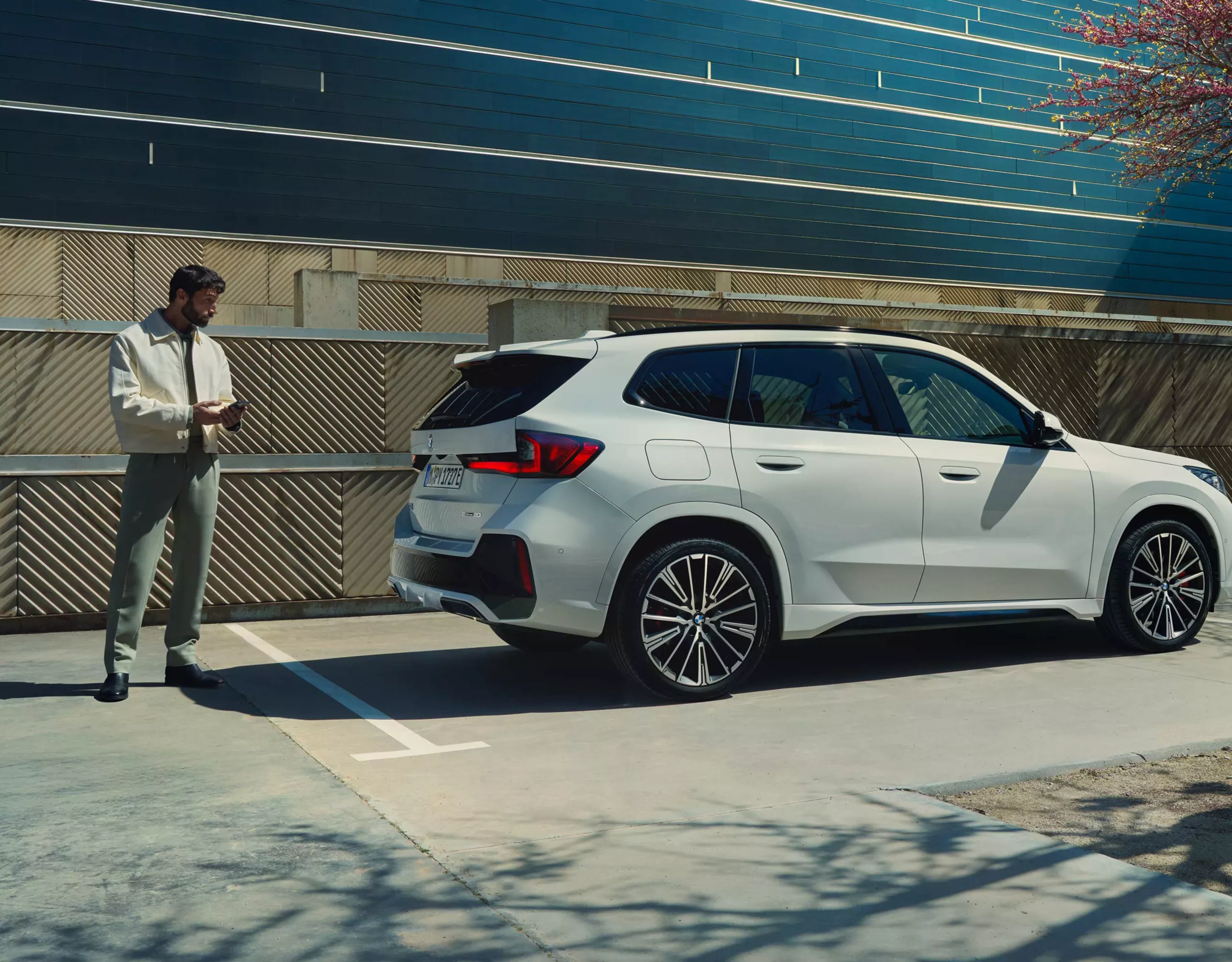 Gebrauchte BMW Elektroautos Battery Health Quick Report