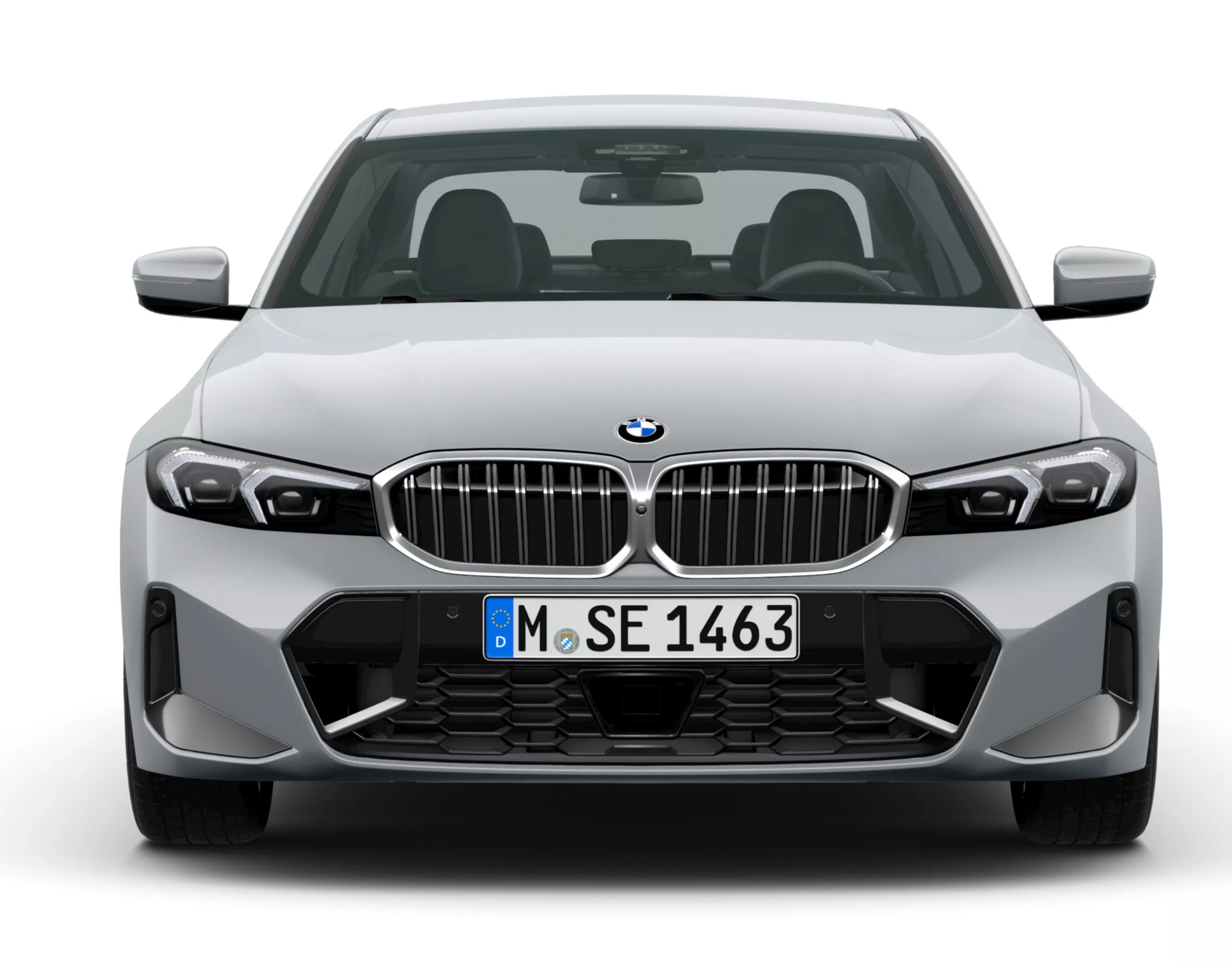 Double kidney grille BMW 3 Series Sedan