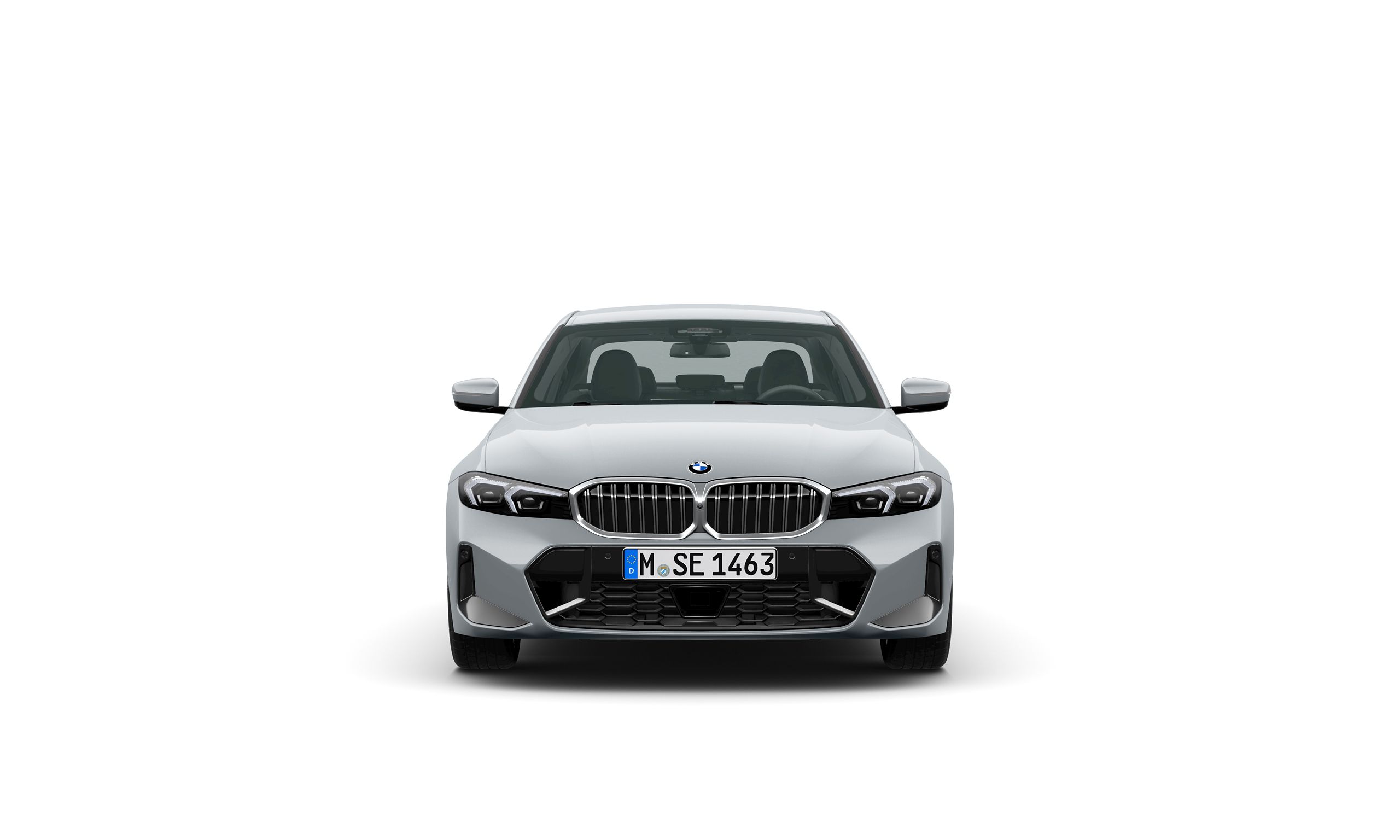 Double kidney grille BMW 3 Series Sedan