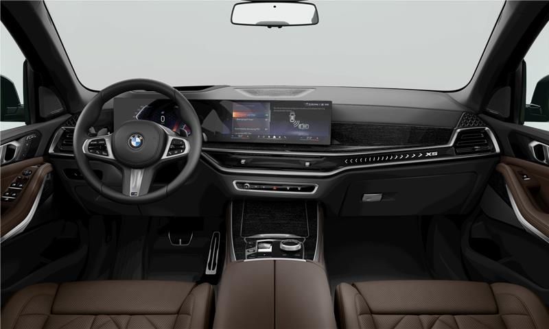 BMW X5 Curved display and ambient lighting
