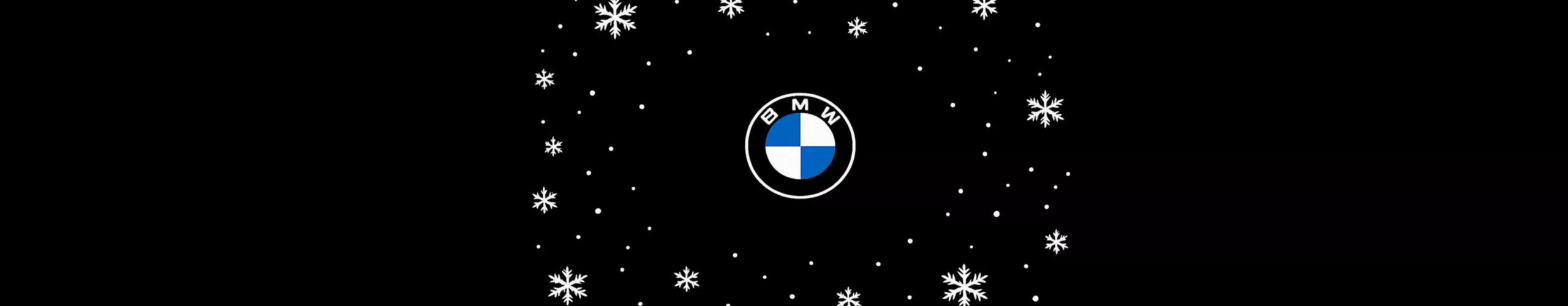 BMW Logo