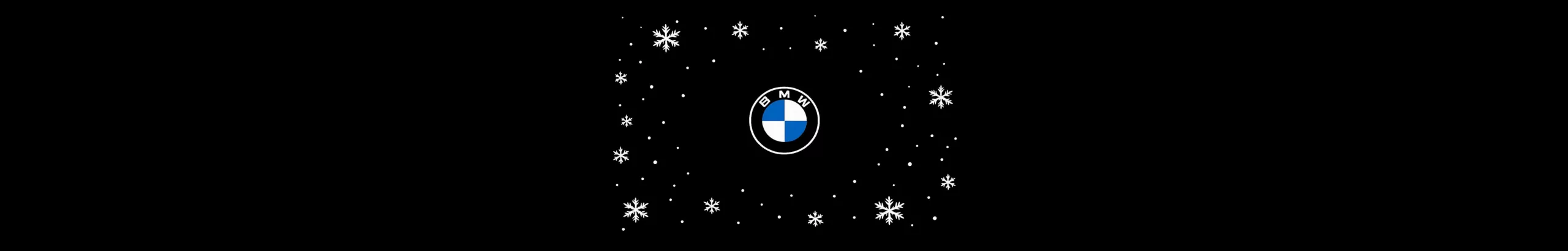 BMW Logo