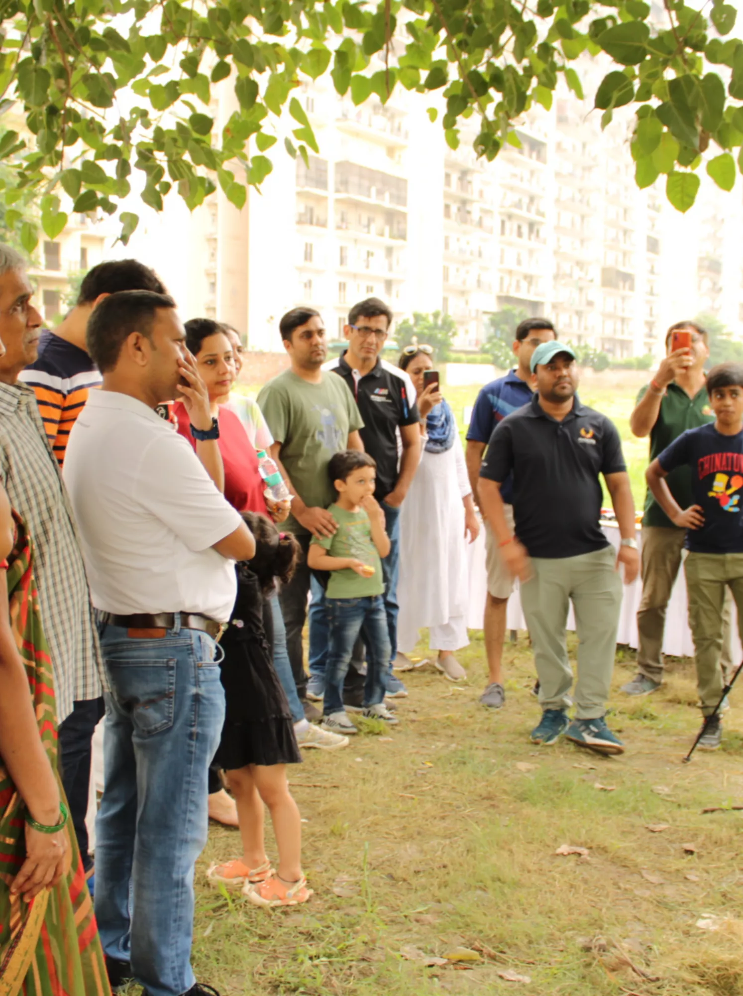 Tree Plantation