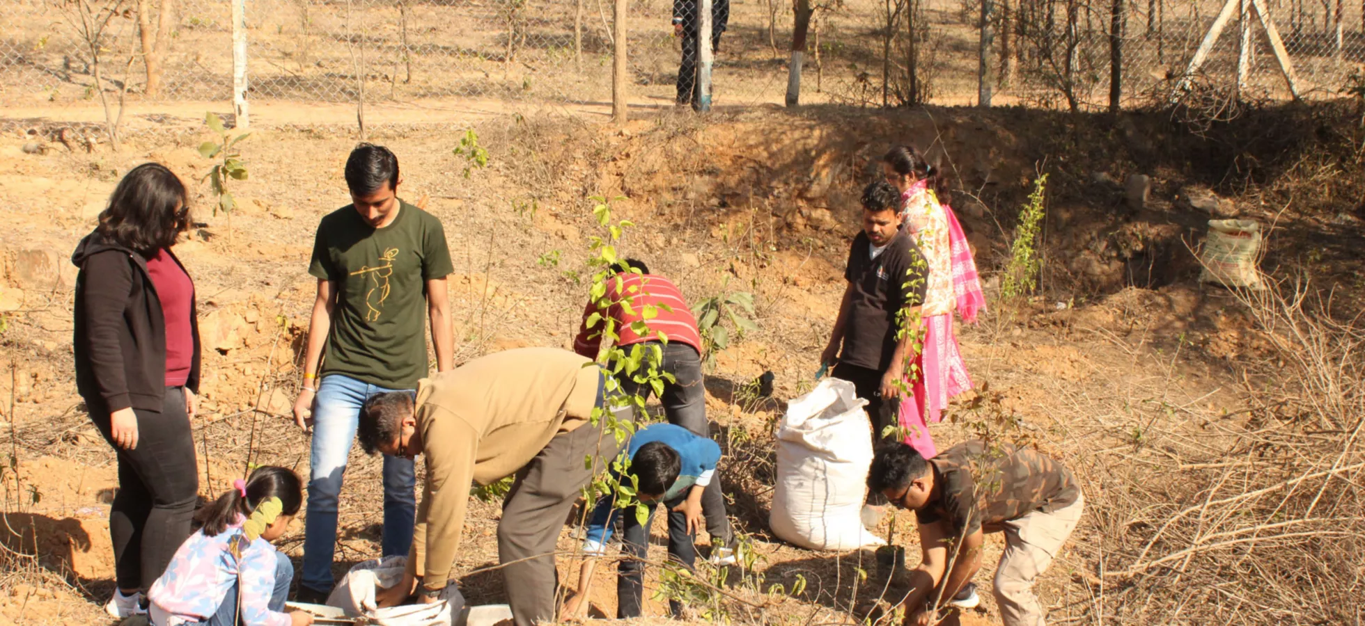 Tree Plantation