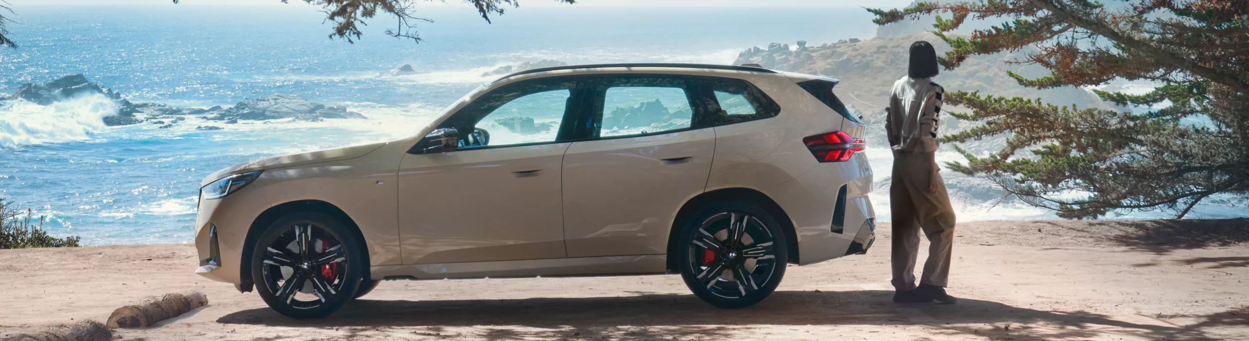 Encontre aqui tudo o que você precisa sobre Informações Legais do BMW Serviços Financeiros, com clareza e transparência.