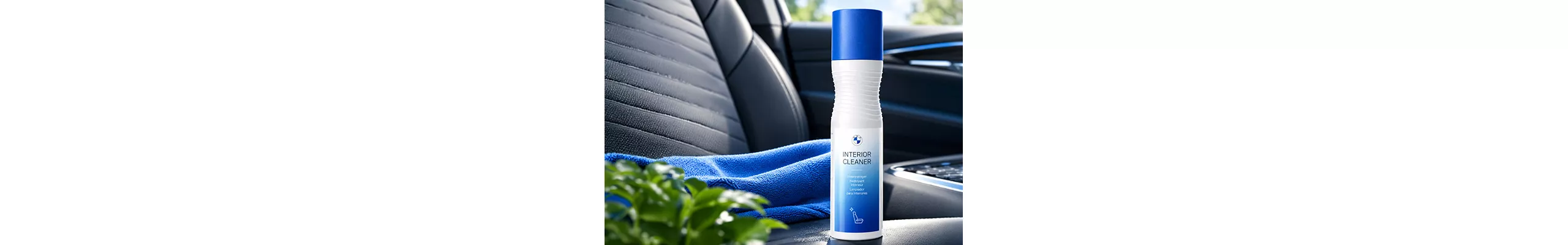 Interior Cleaner