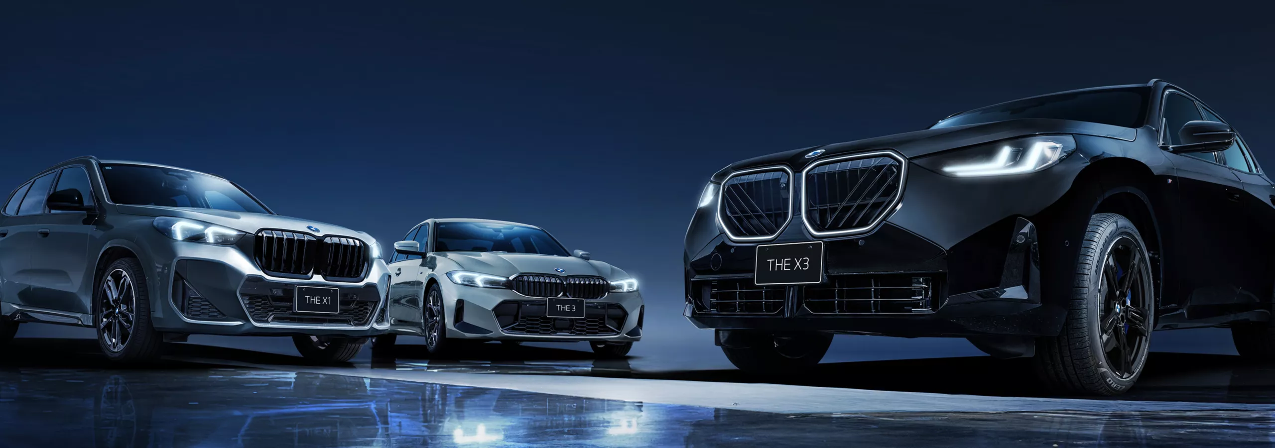 BMW X1 / X3 / 3シリーズ Edition Shadow