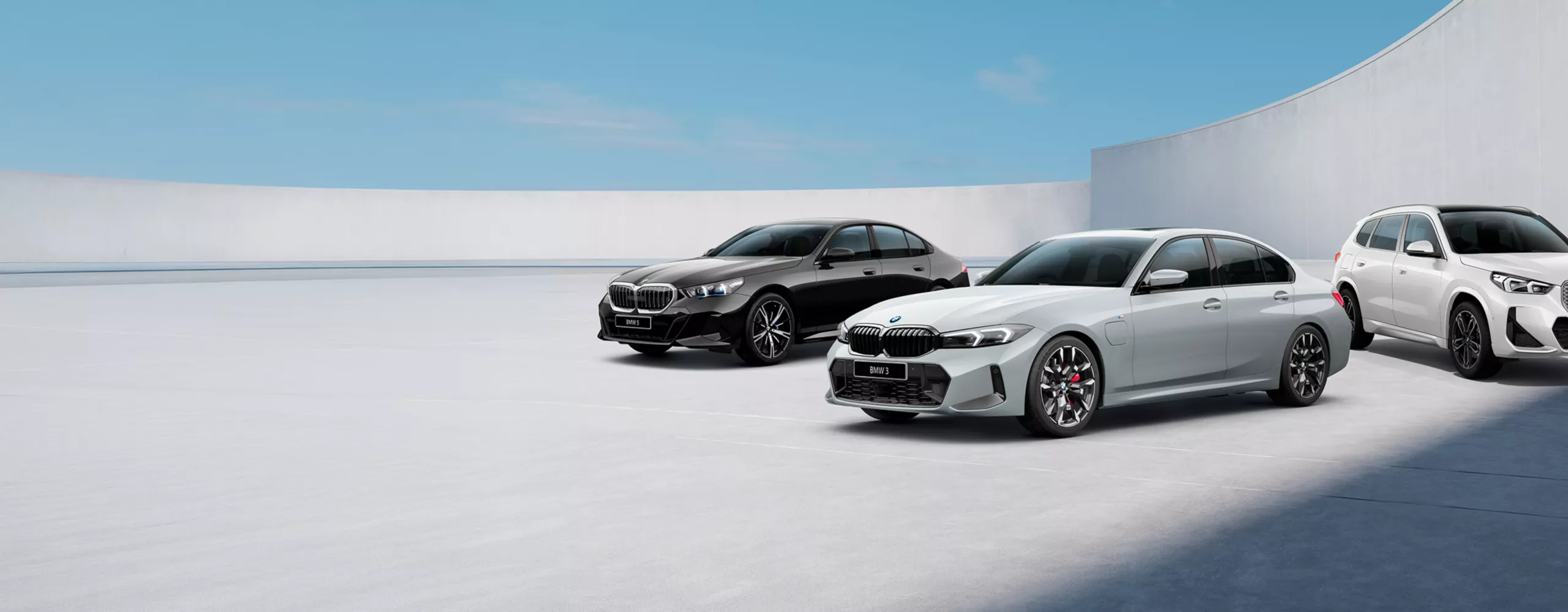OWN YOUR RIGHT CHOICE<br/> WITH POWER OF CHOICE FROM BMW.