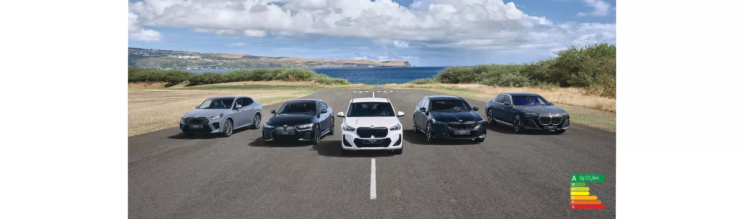 BMW Electrisantes