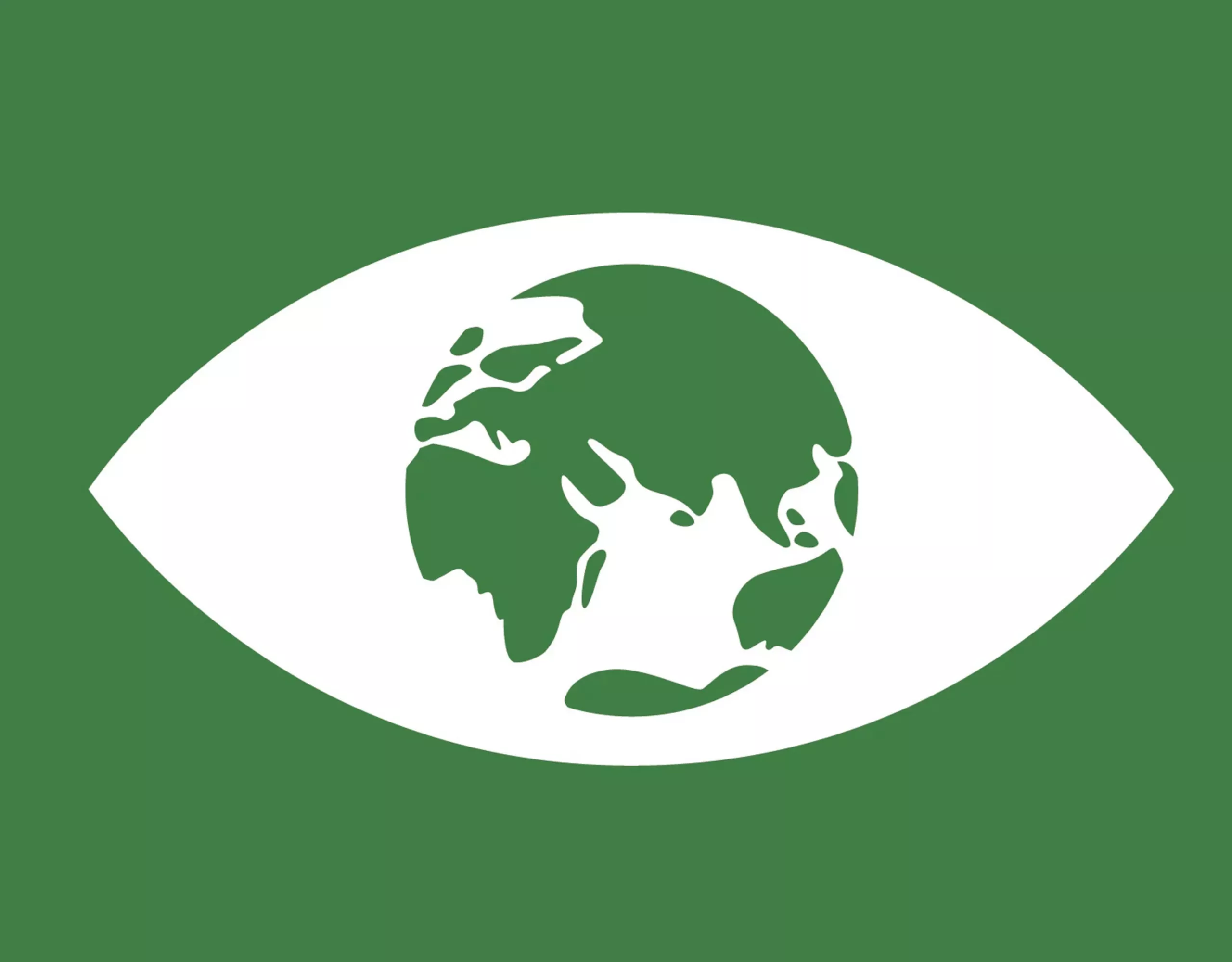 ODS 13