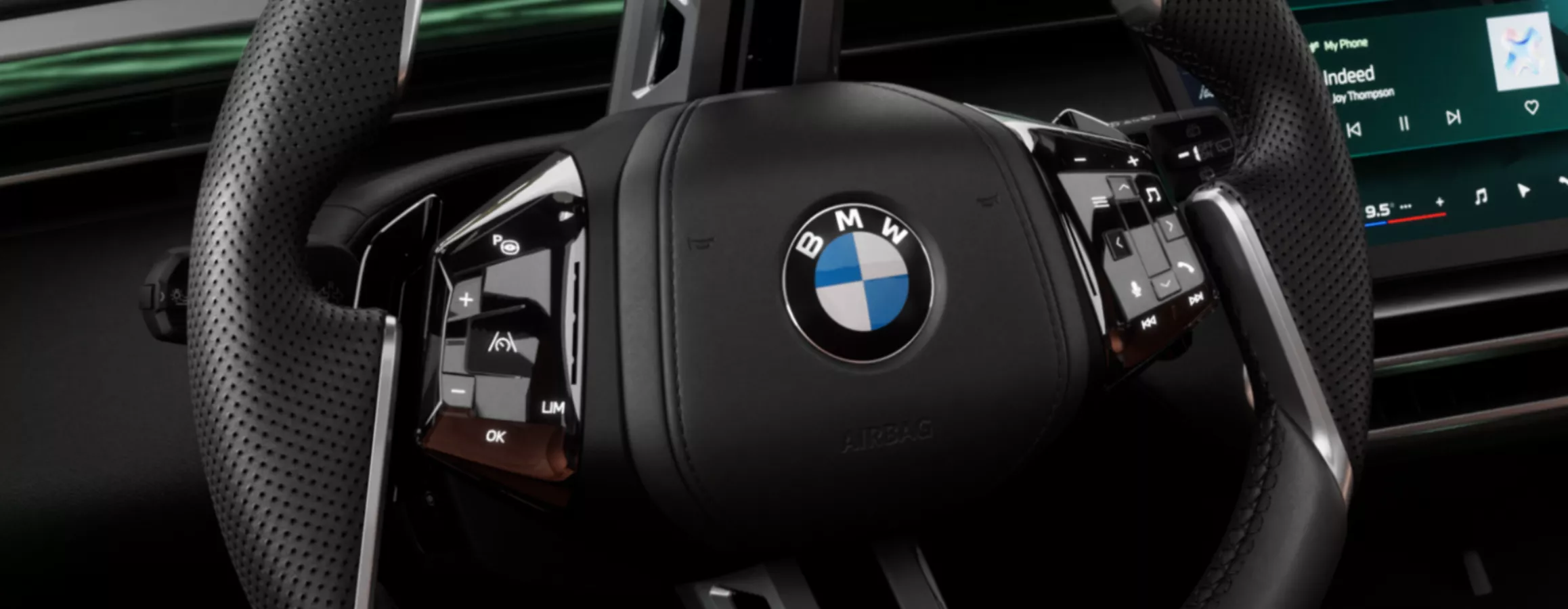 The Multifunction Steering Wheel in the BMW X5