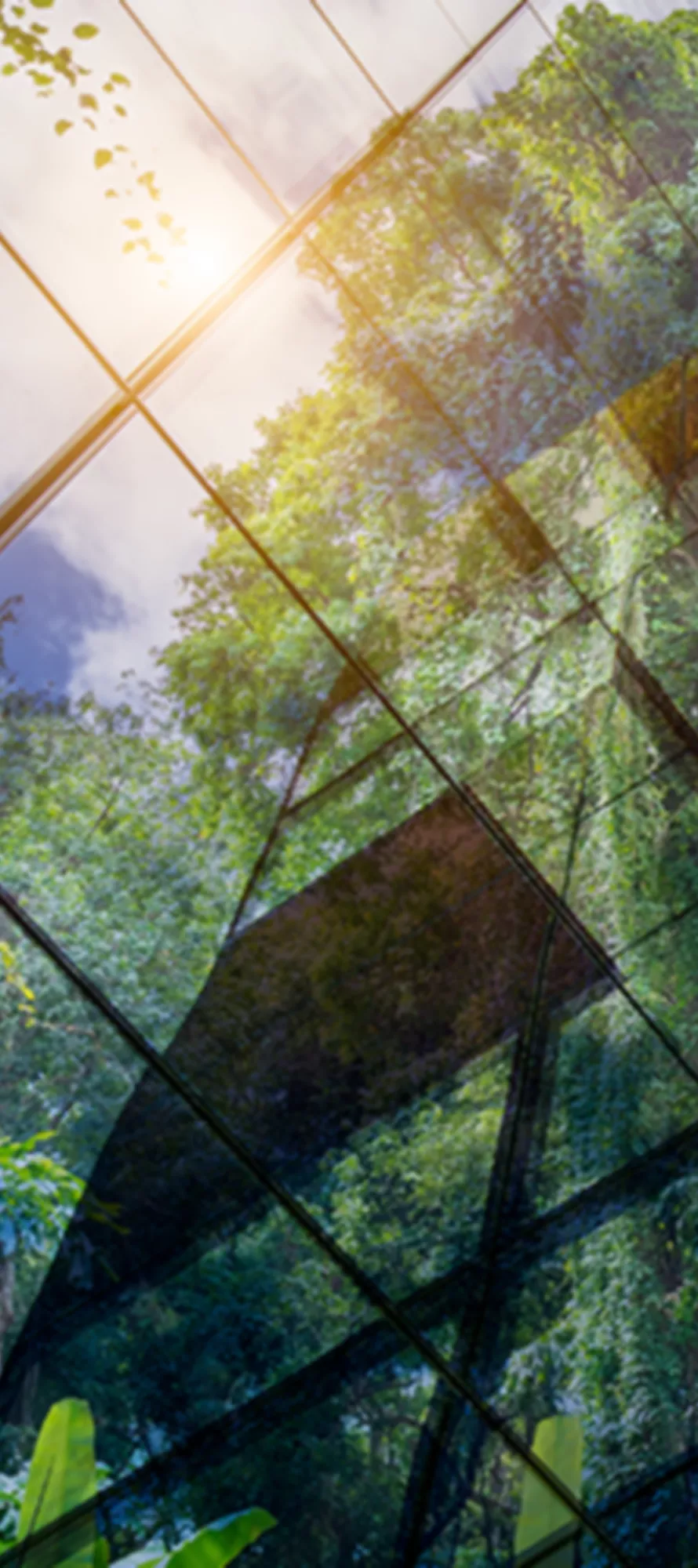 Gebäude umzingelt von Bäumen