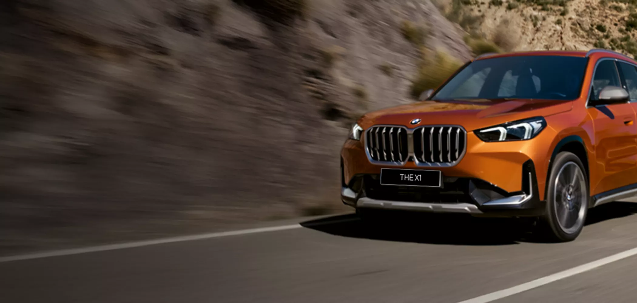 The BMW X1