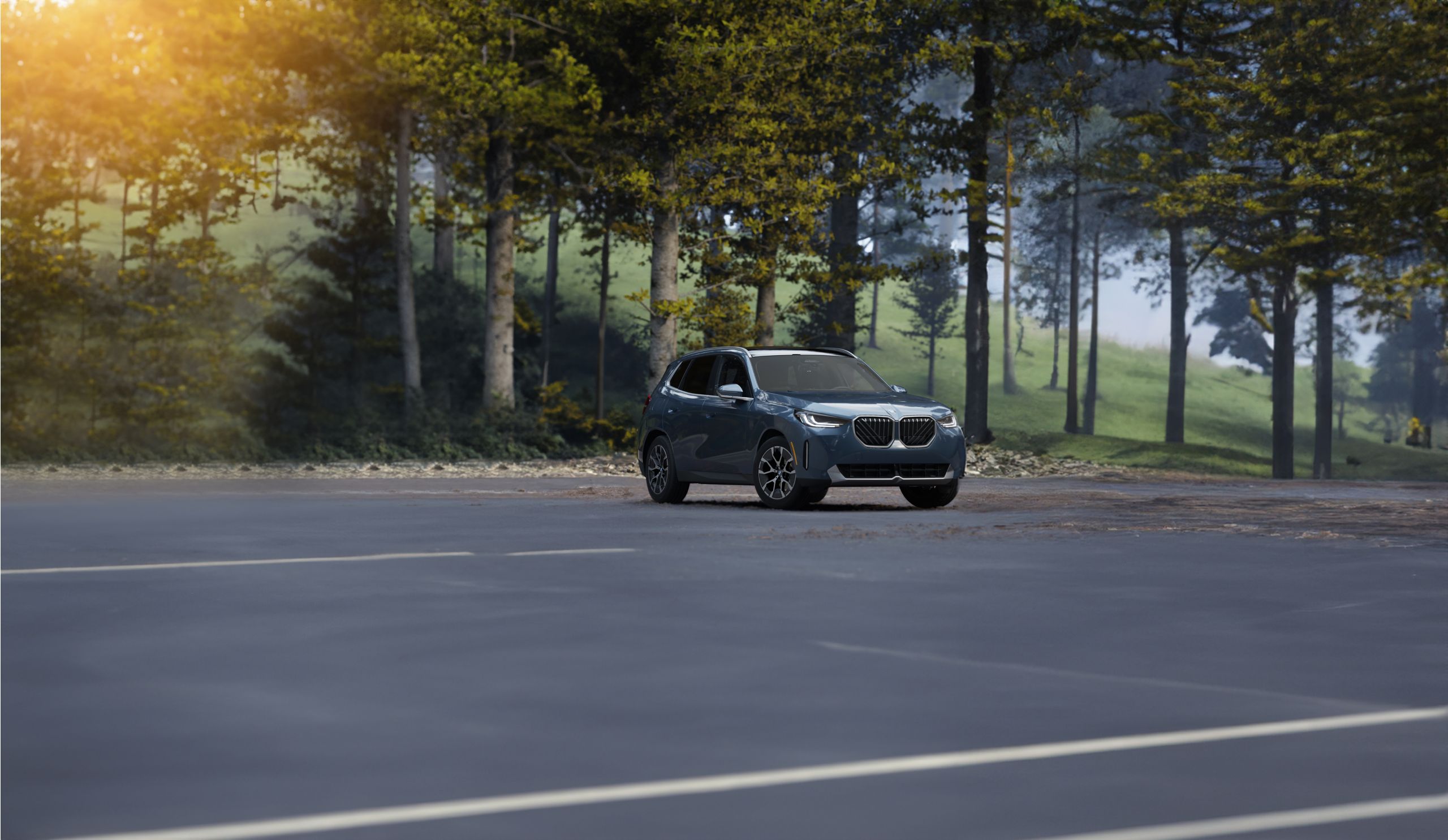A BMW X3 parked in front of a forested park area