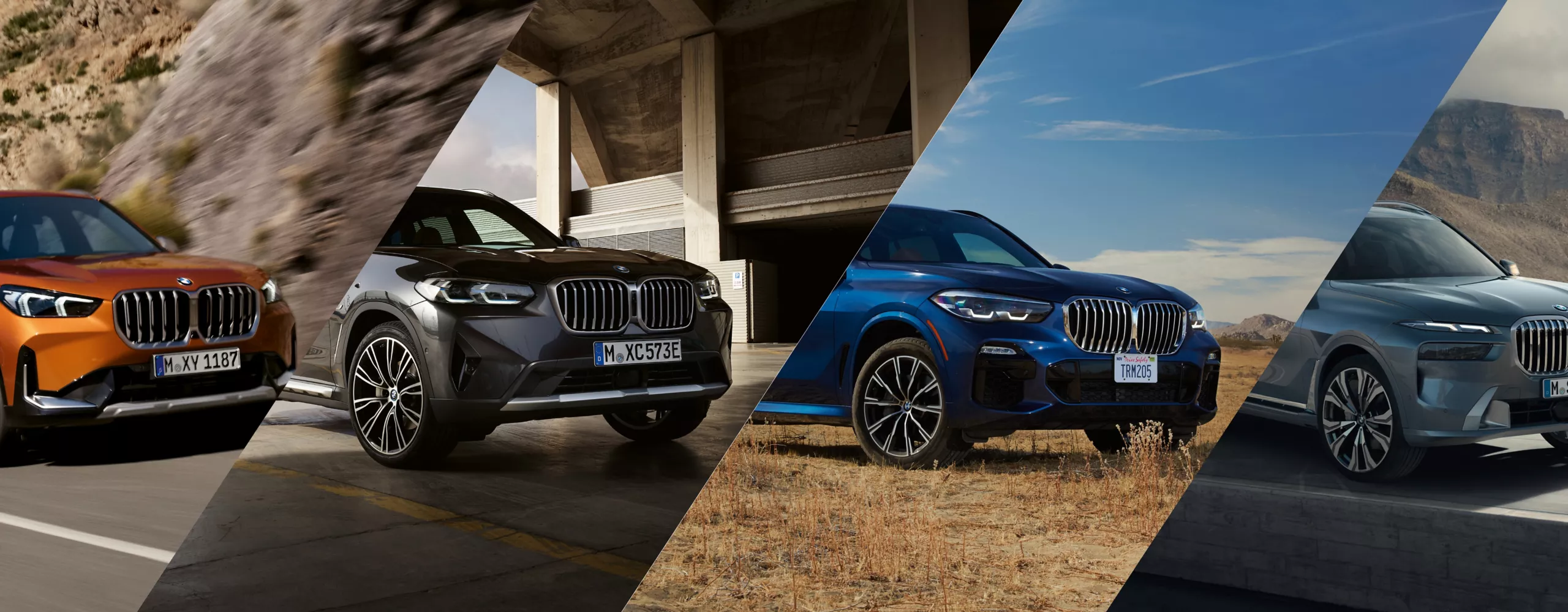 BMW X range