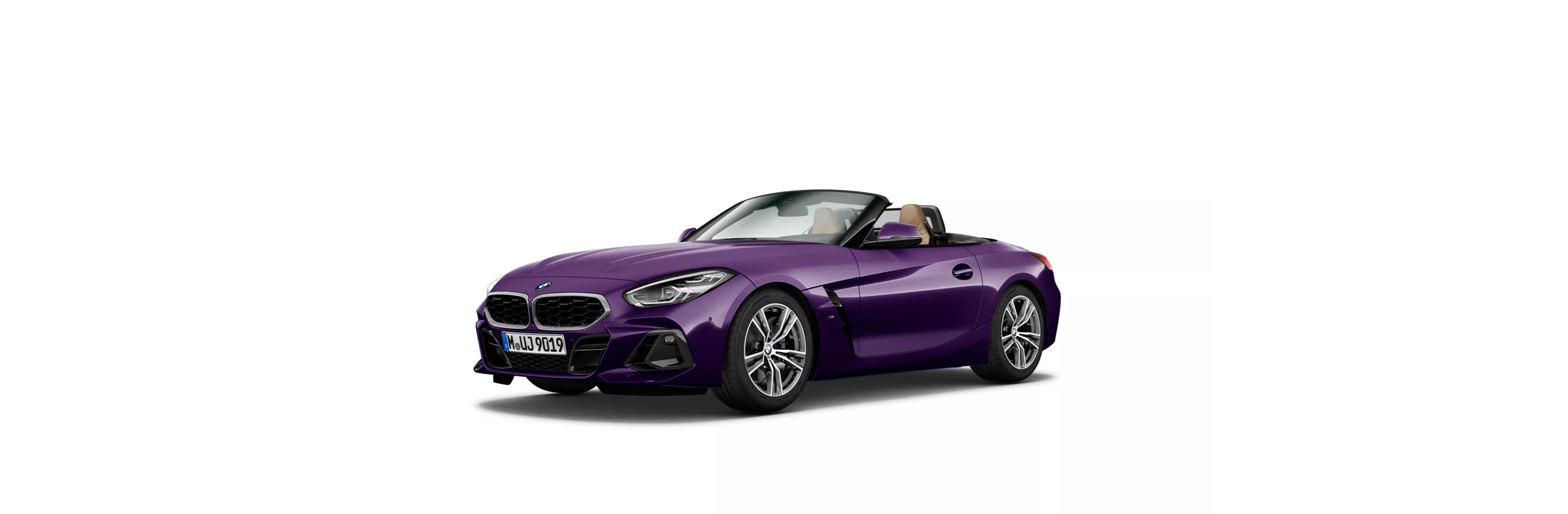 Z4 G29