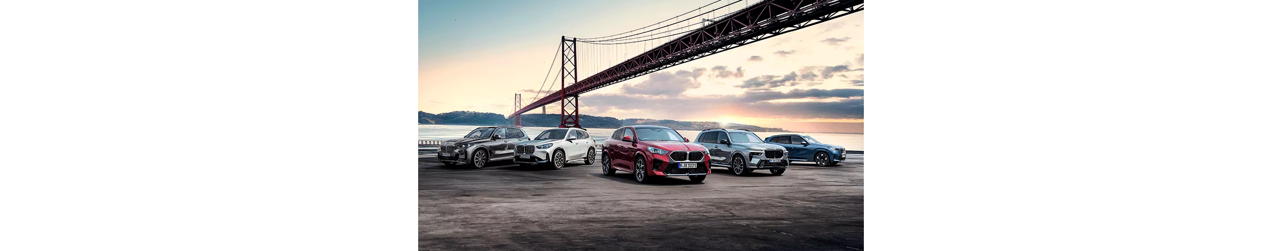 BMW Xモデル