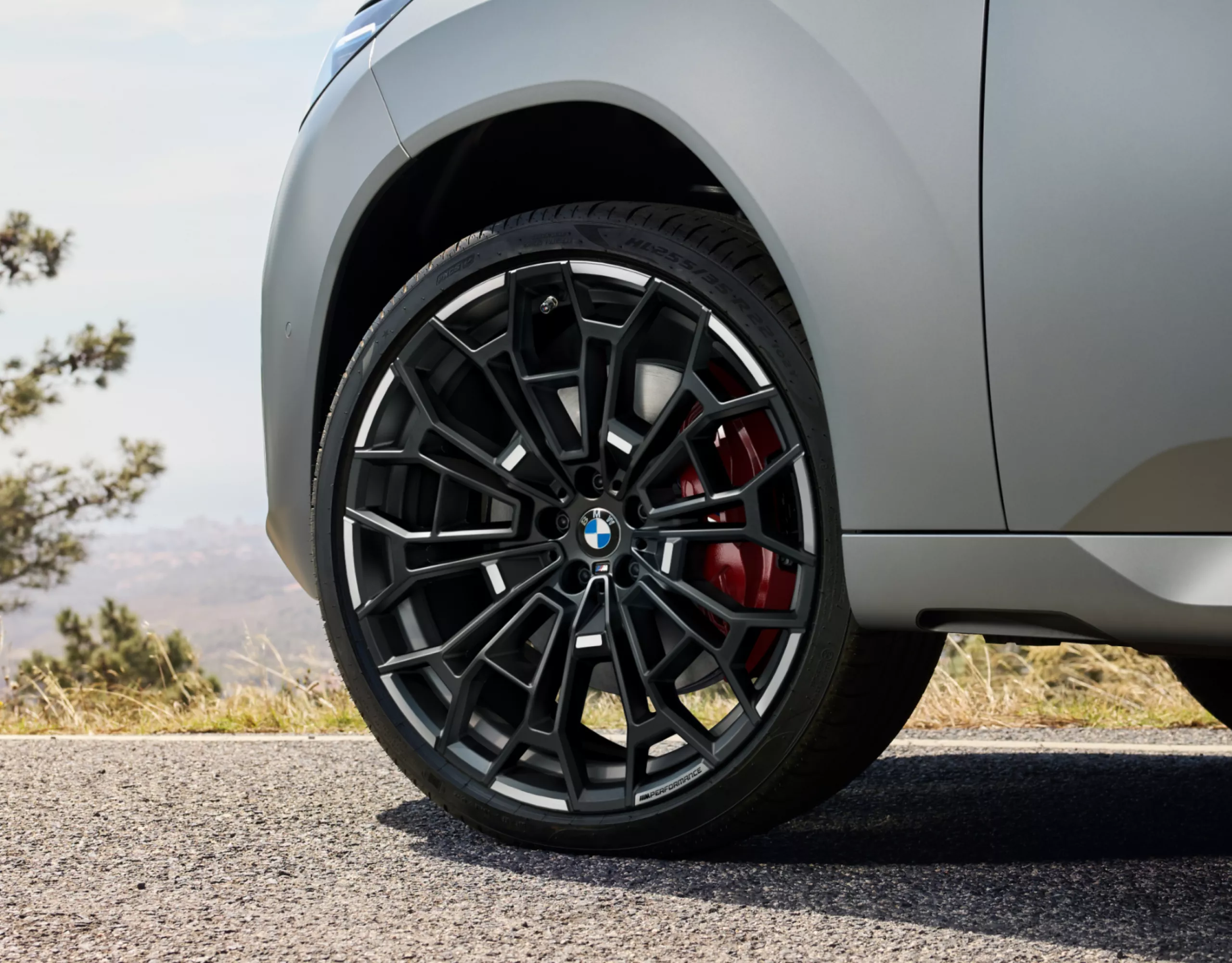 BMW staat op de weg voor een boom — Close-up van 22'' BMW M Performance zomerwielset Y-spaak 1134 M Bicolour