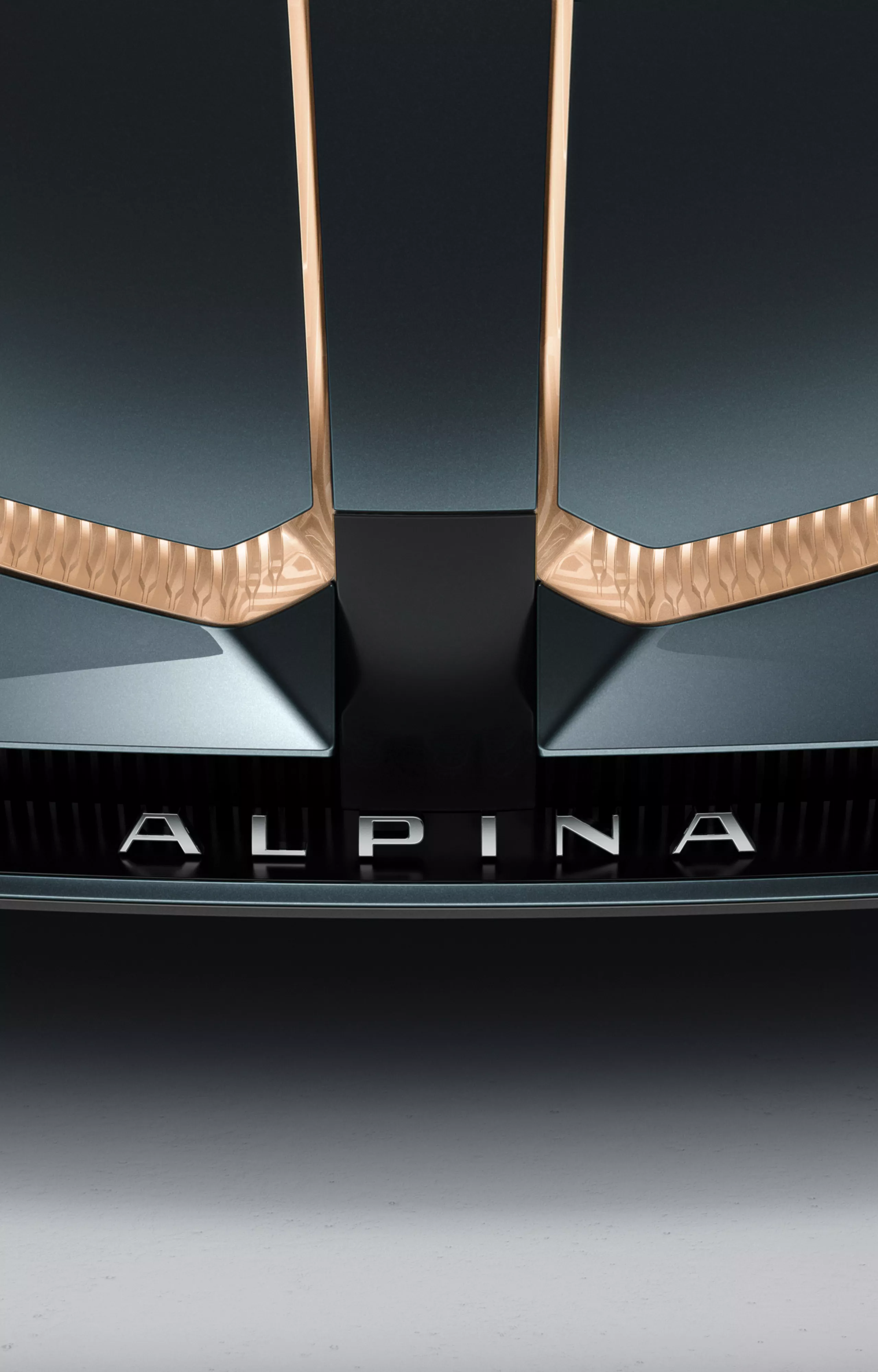 ALPINA – Logotyp