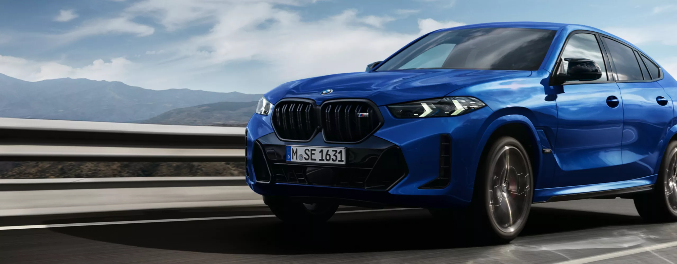 The X6