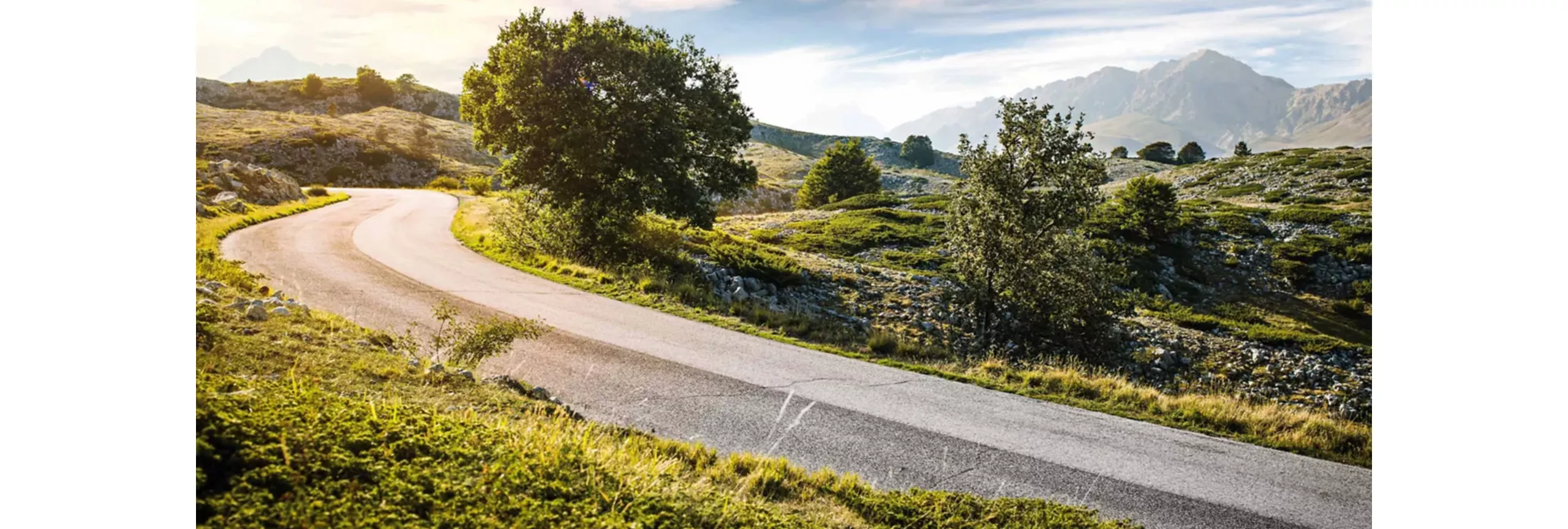 走りも環境性能も、新しい時代へ。