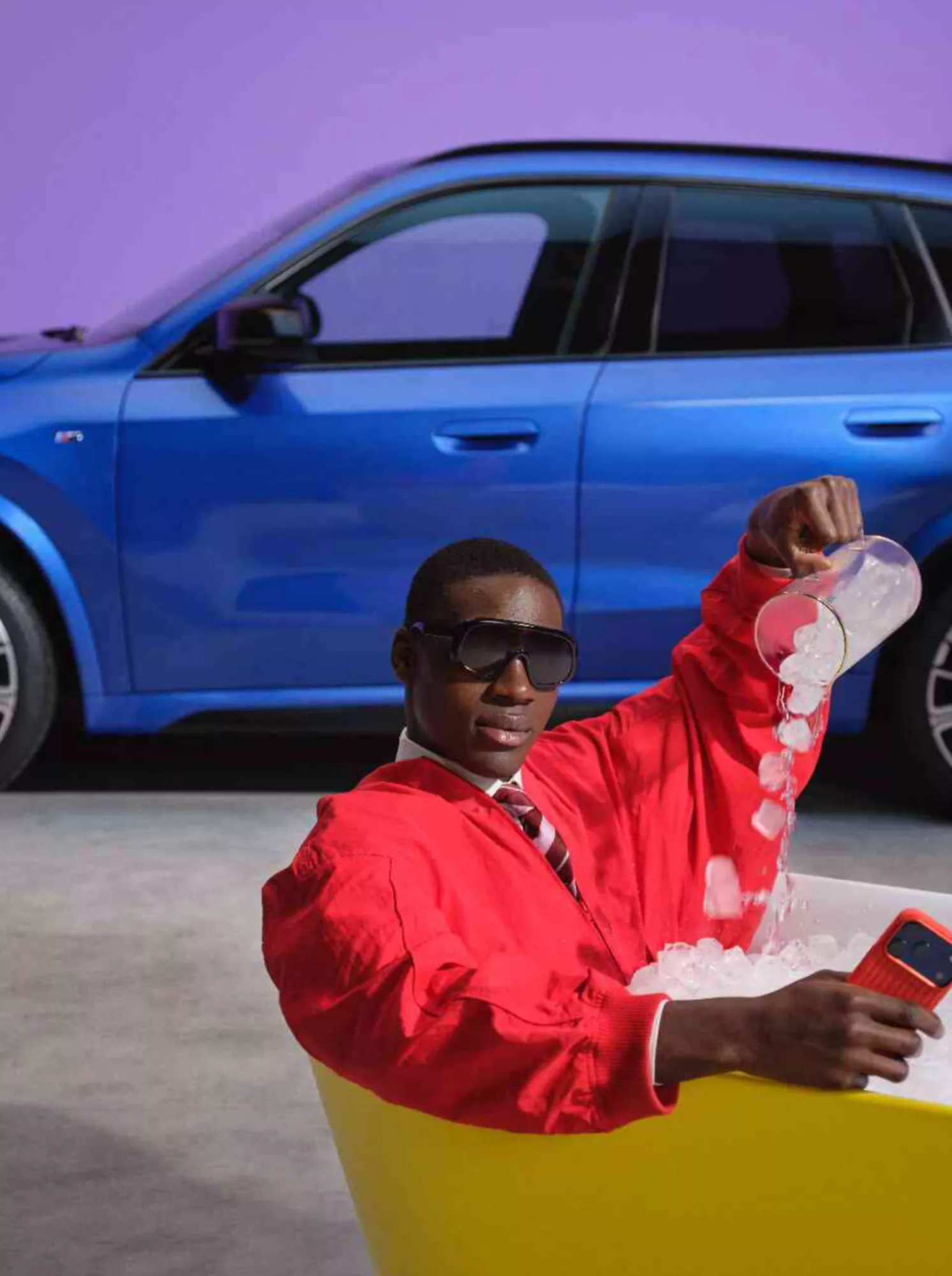 BMW Battery Health