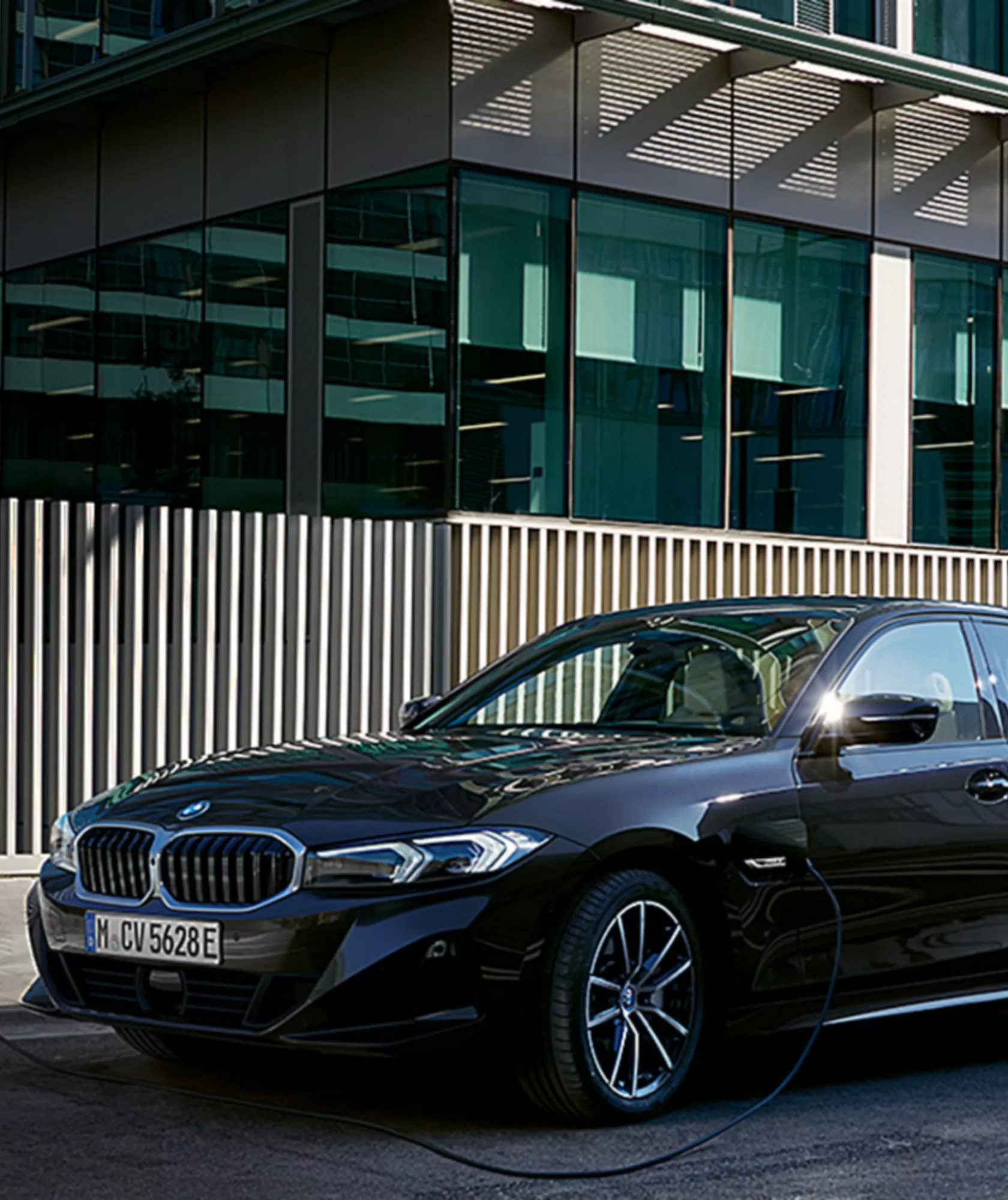 BMW Special Sales