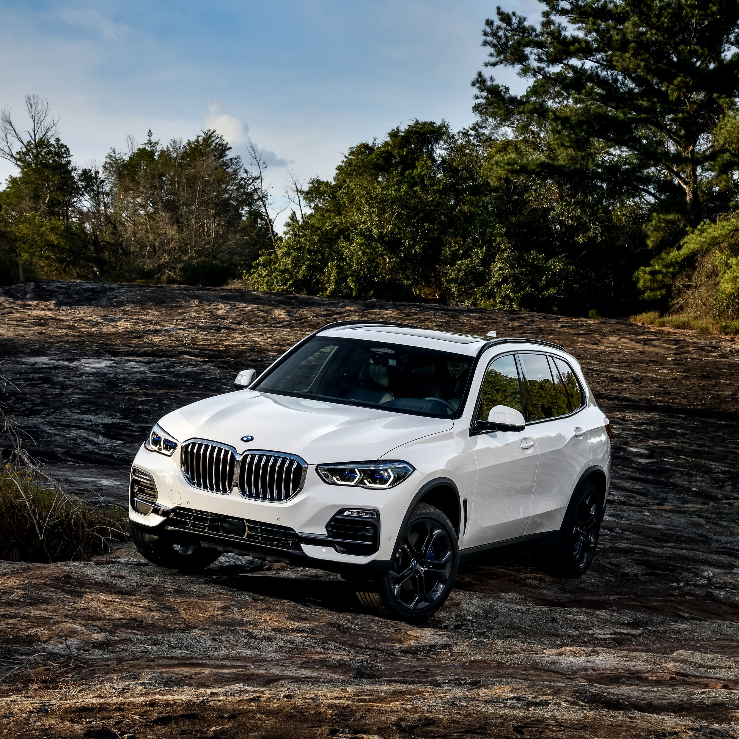 BMW X5 G05 SUV in a clearing with muddy ground in rough terrain with trees and bushes in the background