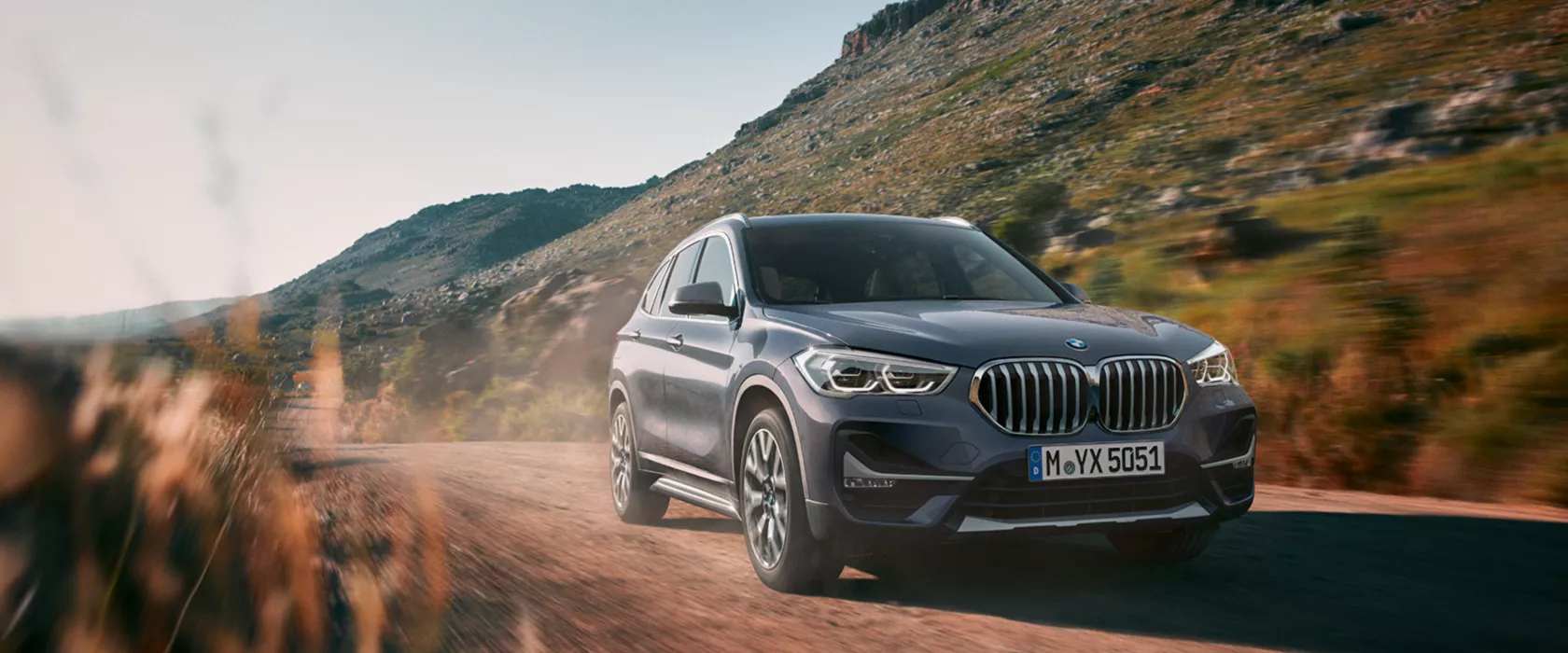 BMW X