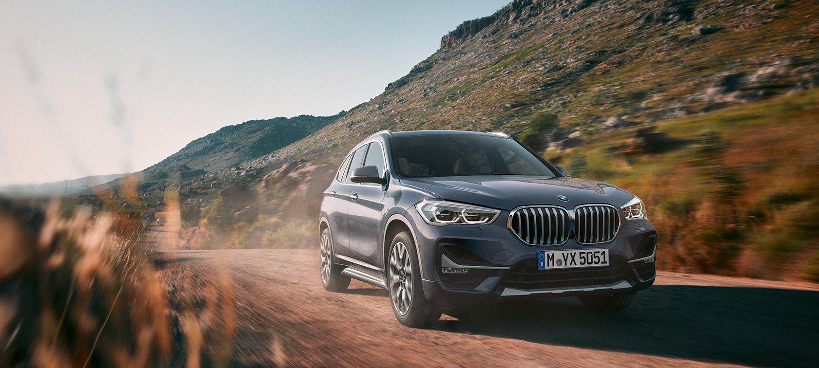 BMW X