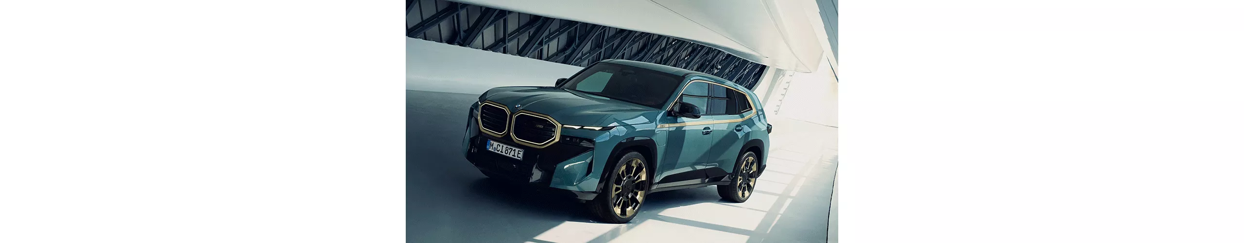 BMW XM