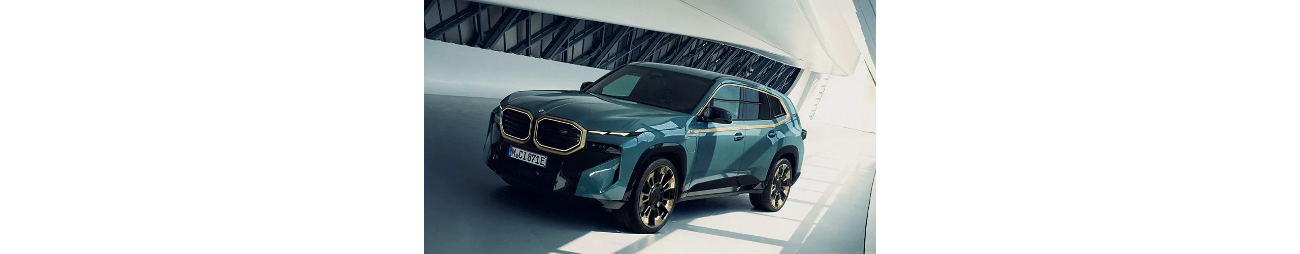 BMW XM