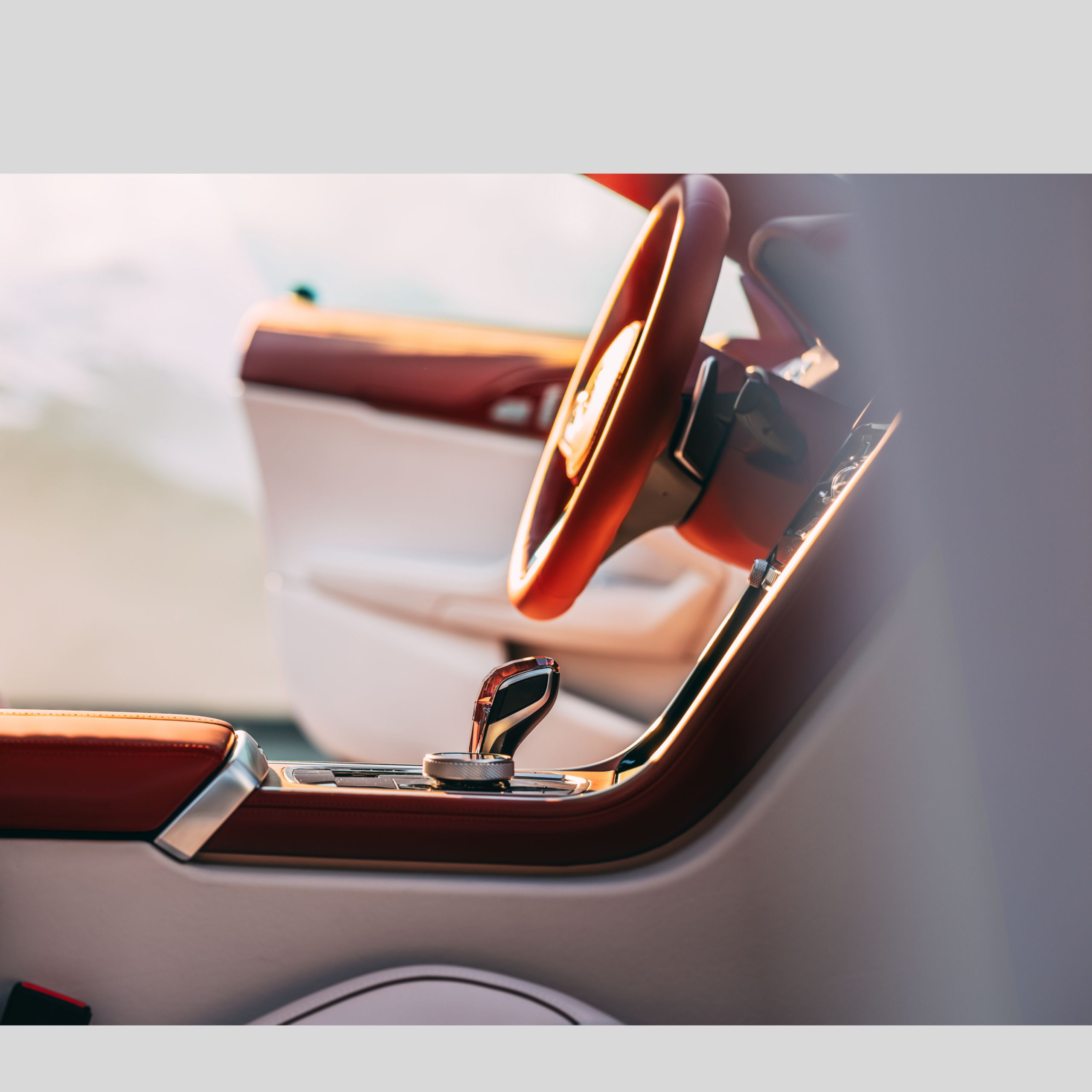 L’harmonie entre la peinture extérieure et l’aménagement intérieur de la BMW Concept Speedtop est mise en valeur