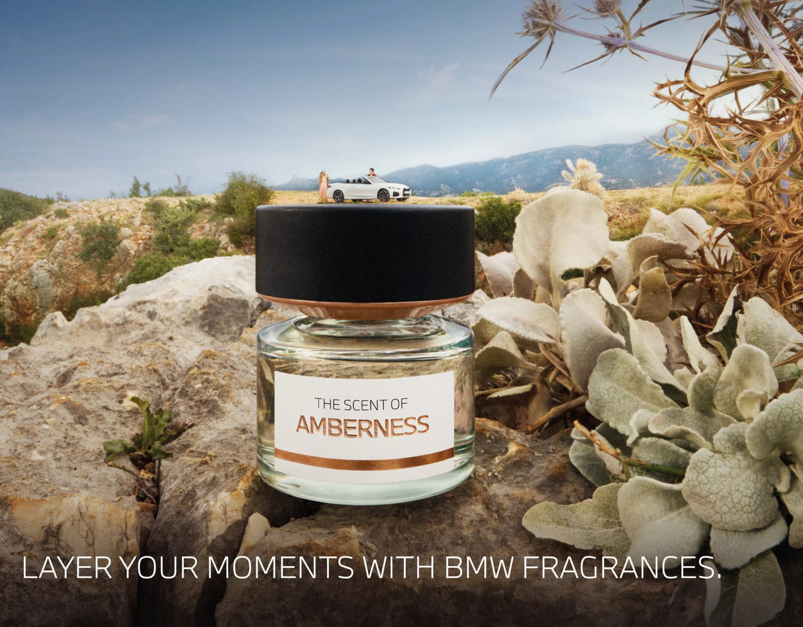 BMW Fragrances 