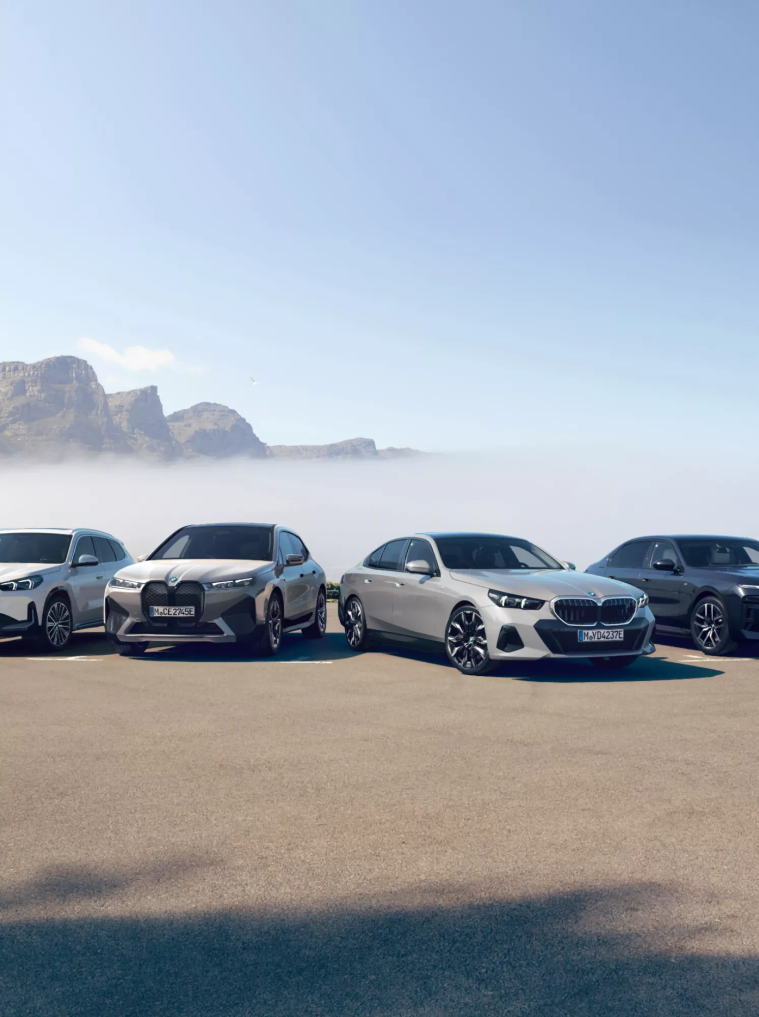 BMW Premium Selection, rabljena vozila