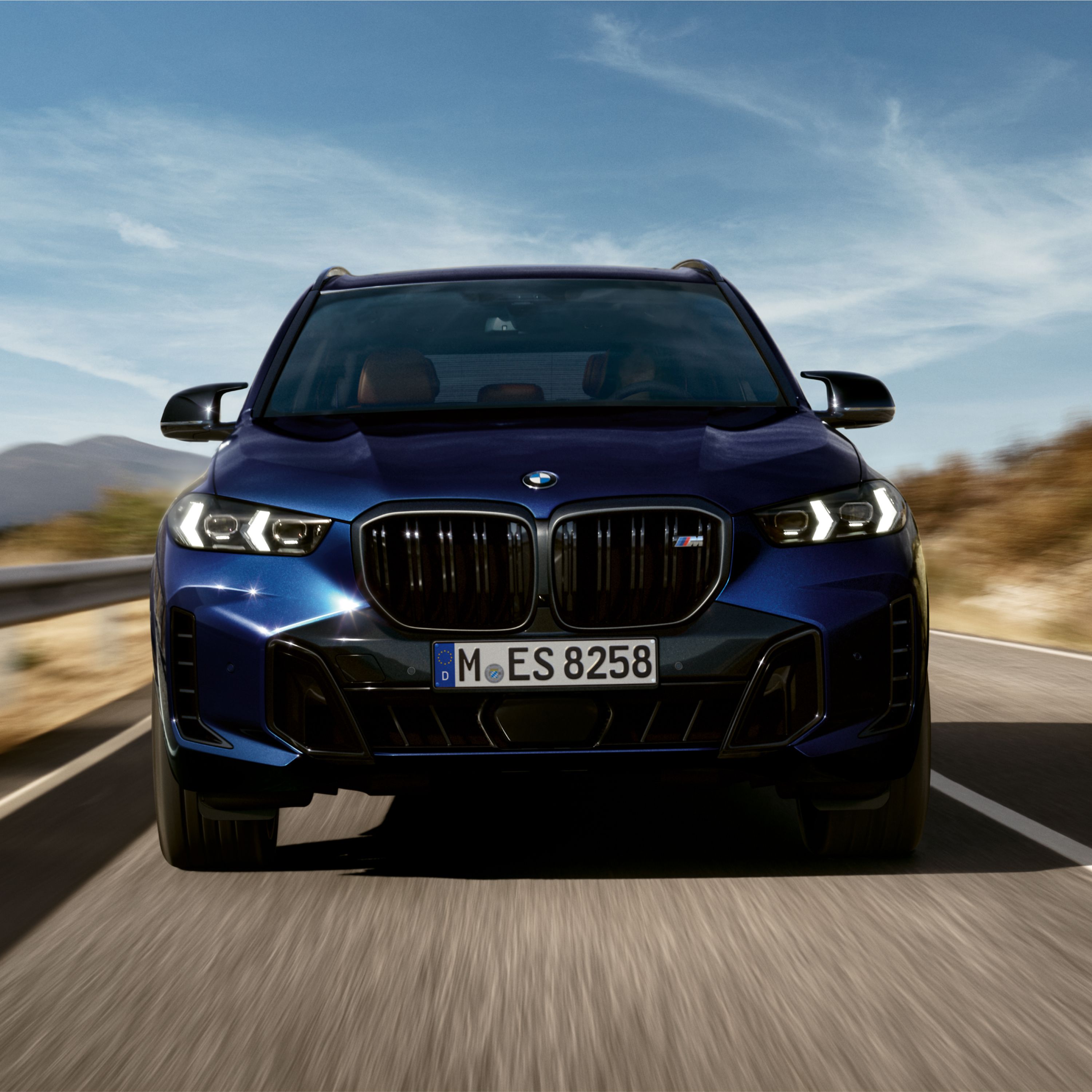 BMW X5 M60i xDrive, calandre M